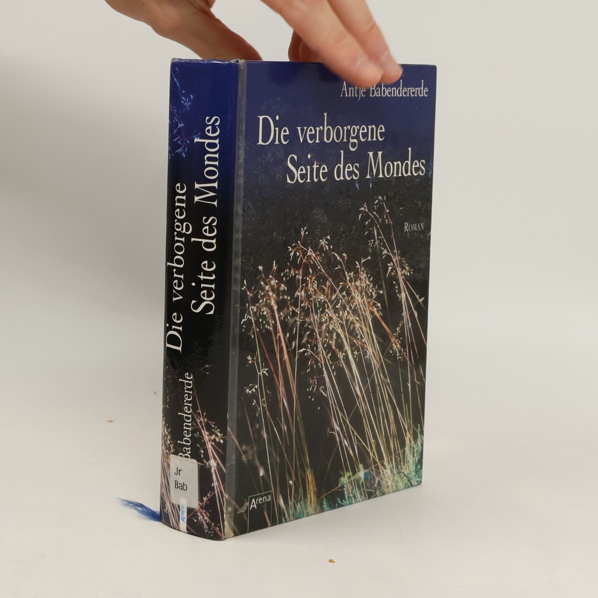 Antje Babendererde Die verborgene Seite des Mondes