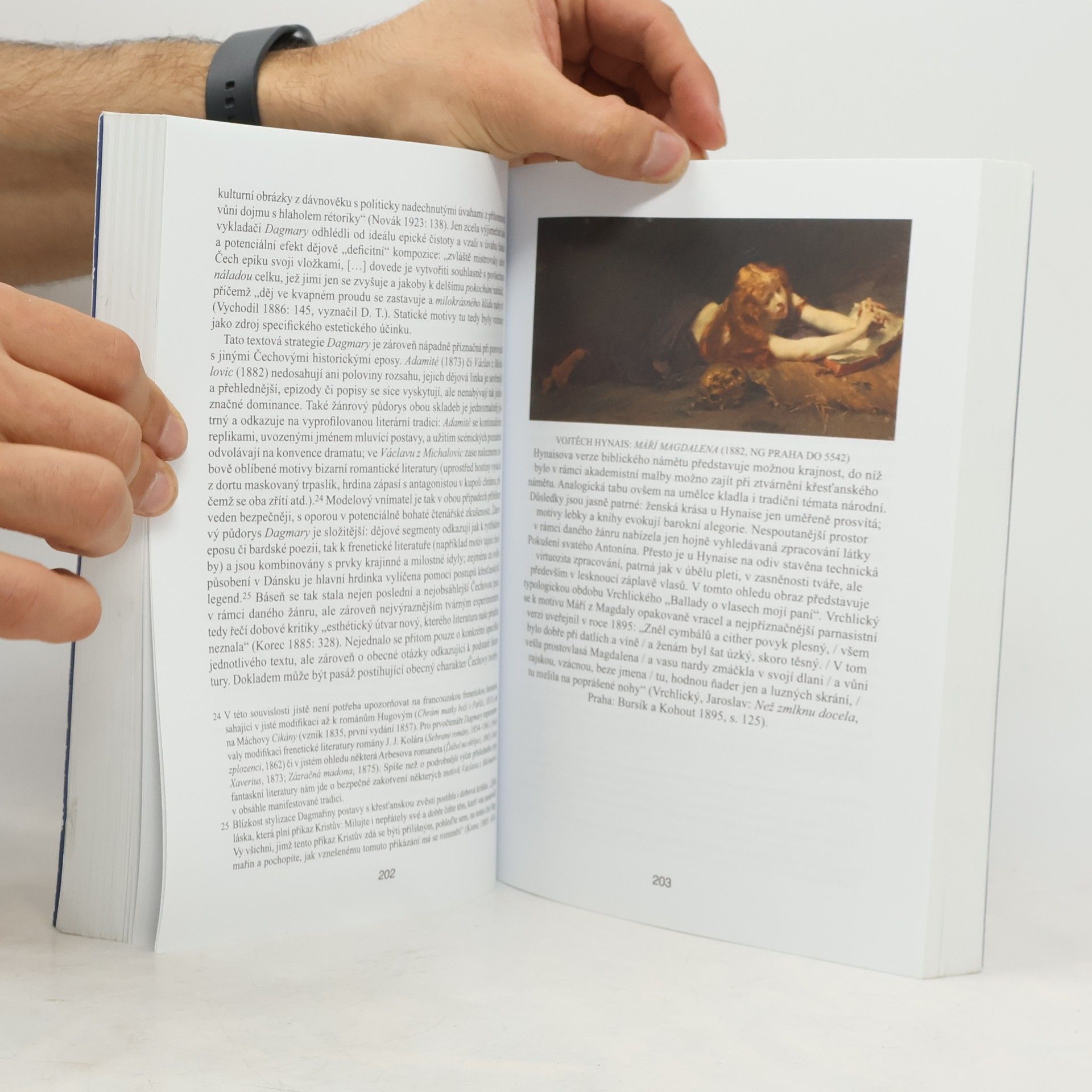 Aleš Haman Český a slovenský literární parnasismus
