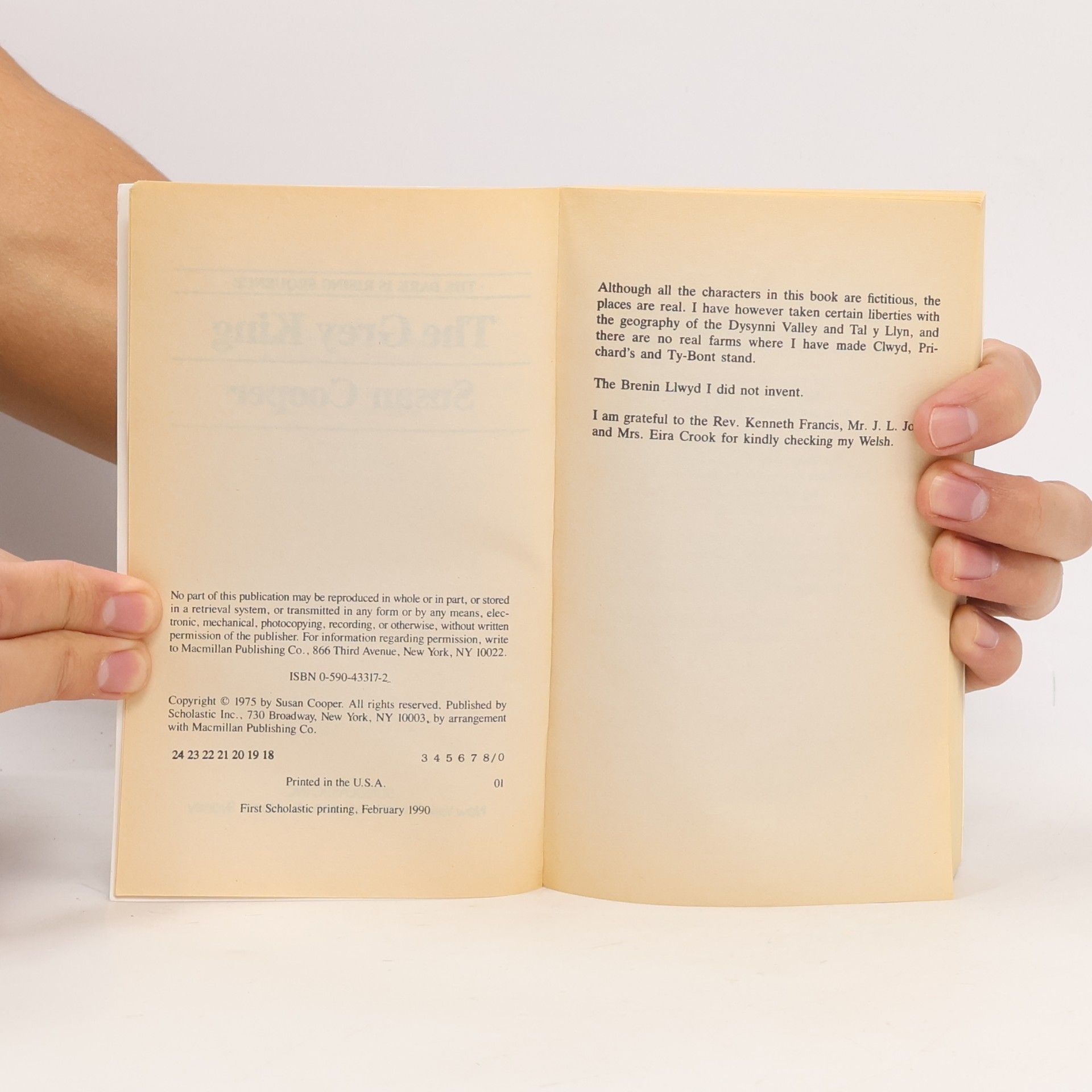 Susan Cooper The Dark Is Rising Sequence - 4: The Grey King
