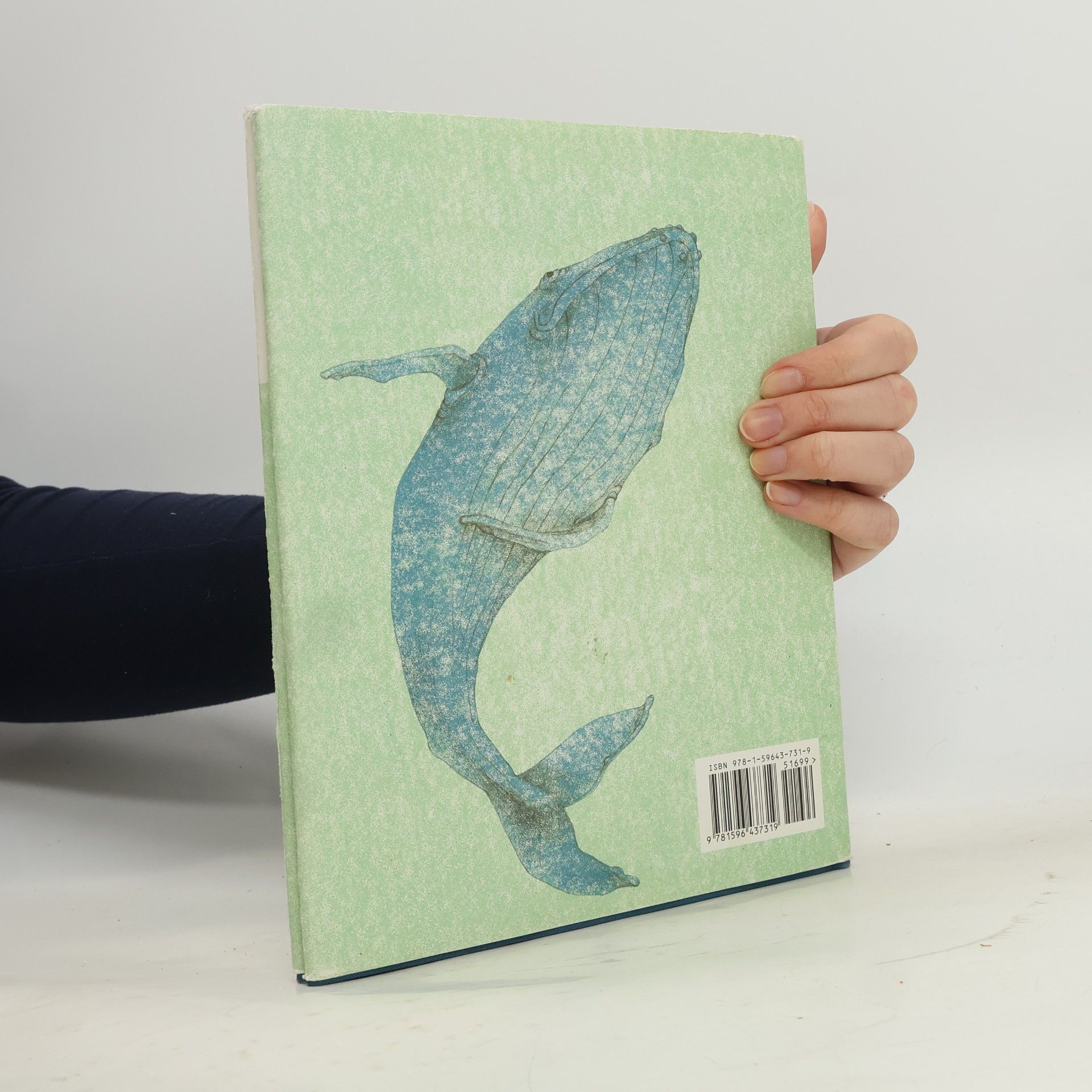 Erin E. Stead If You Want to See a Whale