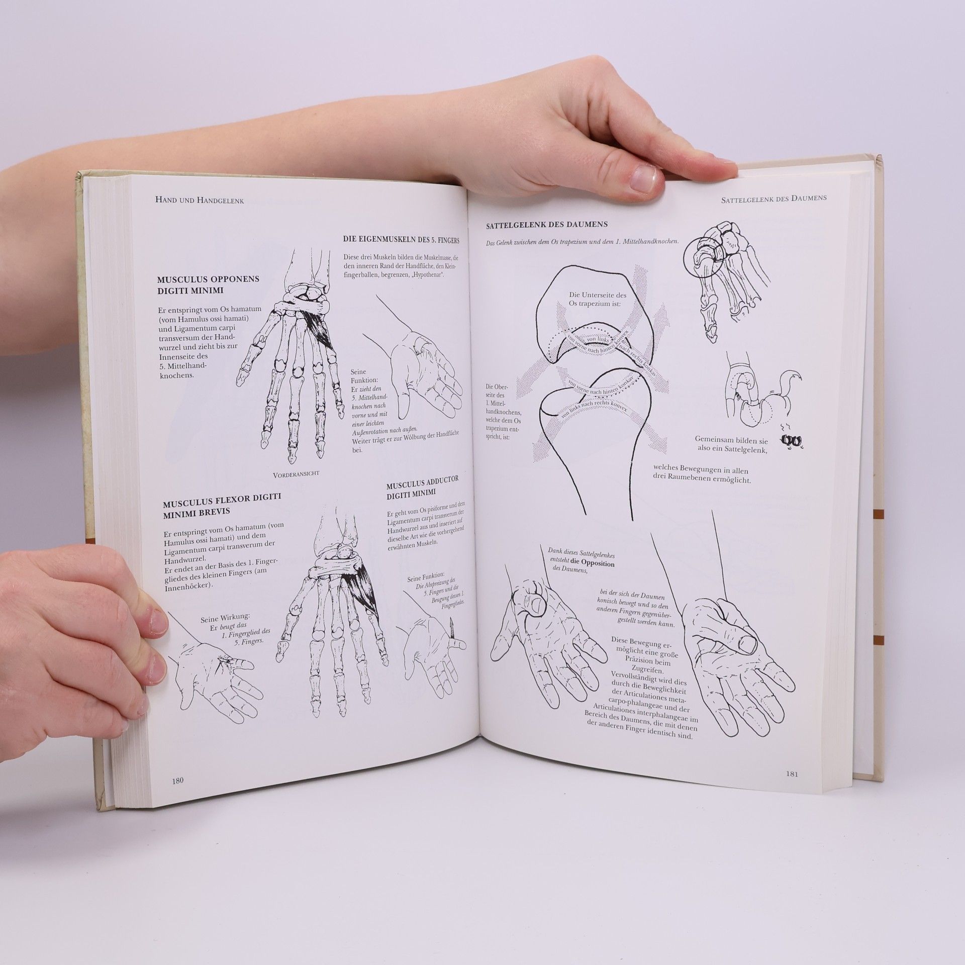 Blandine Calais-Germain Anatomie der Bewegung
