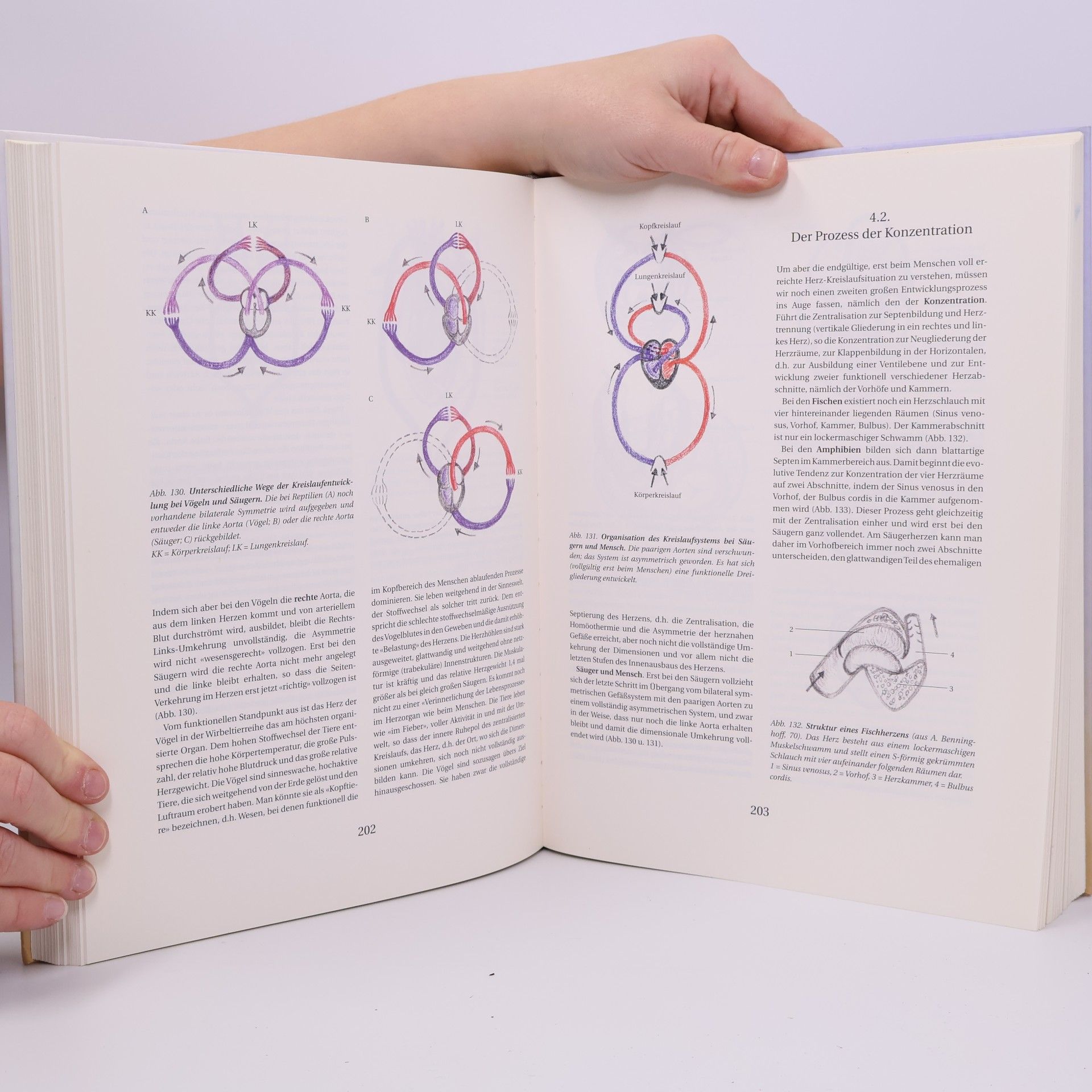 Johannes Wilhelm Rohen Morphologie des menschlichen Organismus - 2. Auflage