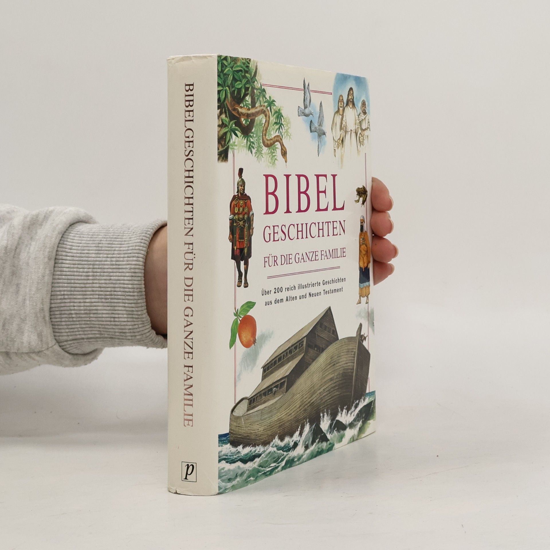 Autorenkollektiv Bibelgeschichten für die ganze Familie