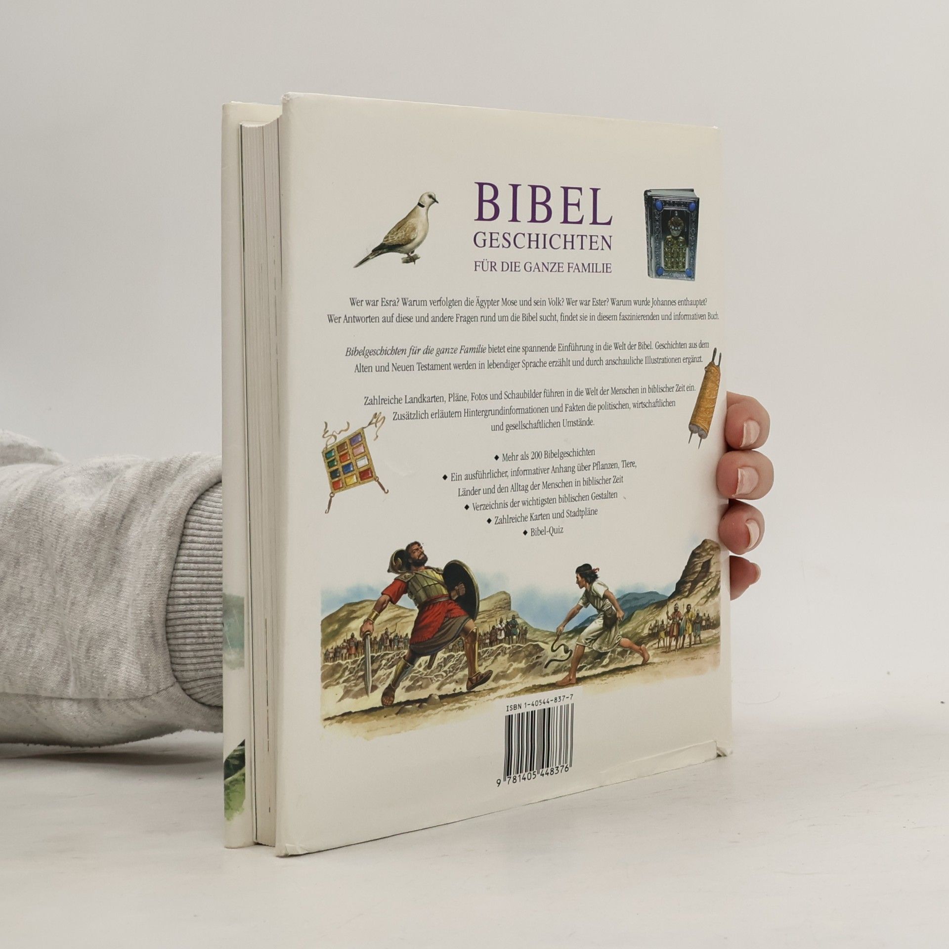 Autorenkollektiv Bibelgeschichten für die ganze Familie