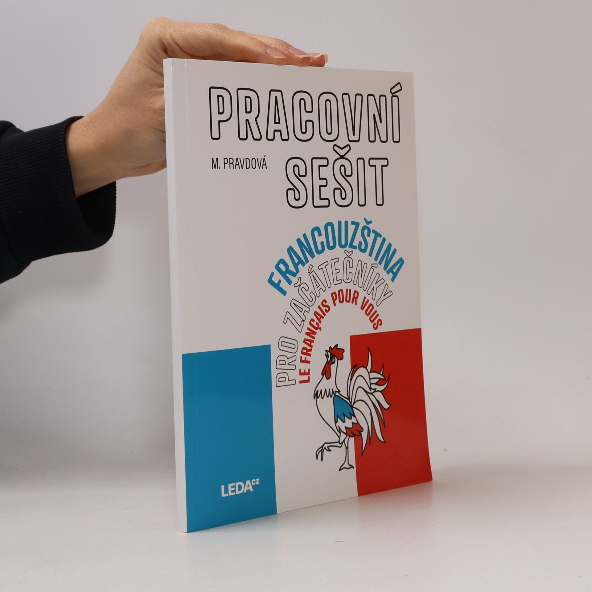 Francouzština pro začátečníky = Le français pour vous : pracovní sešit