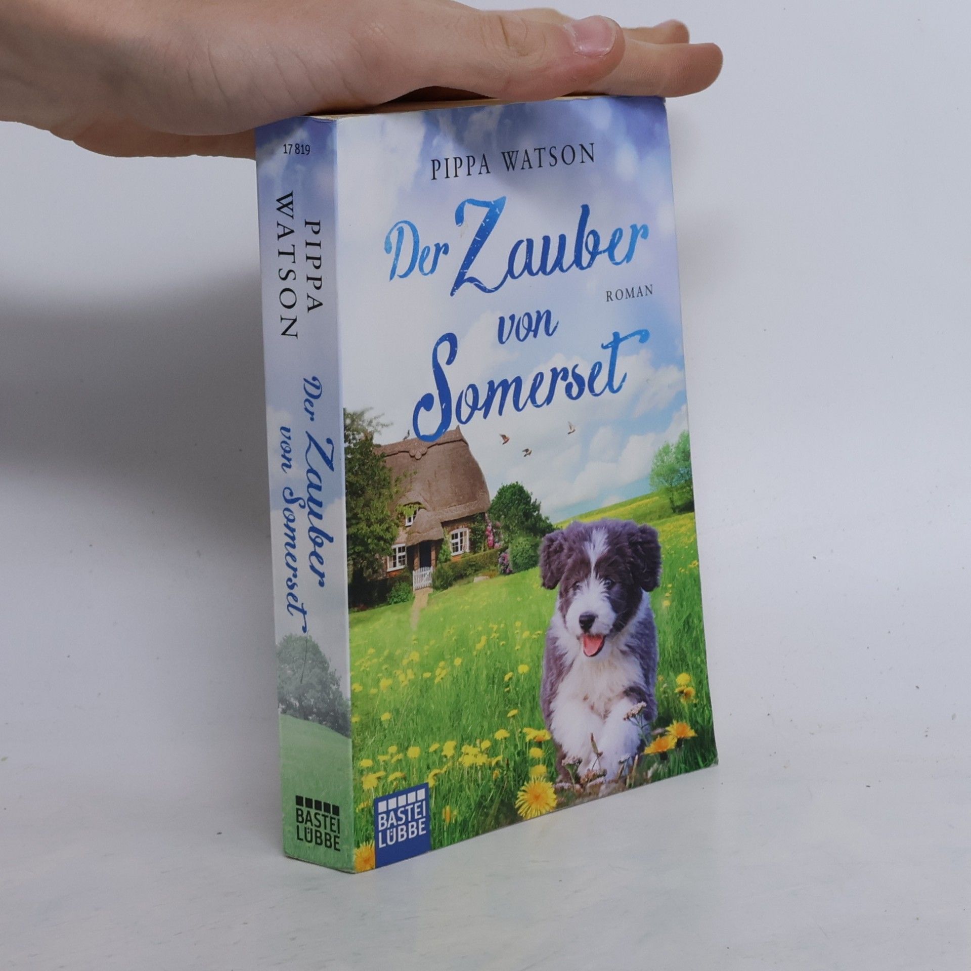 Der Zauber von Somerset