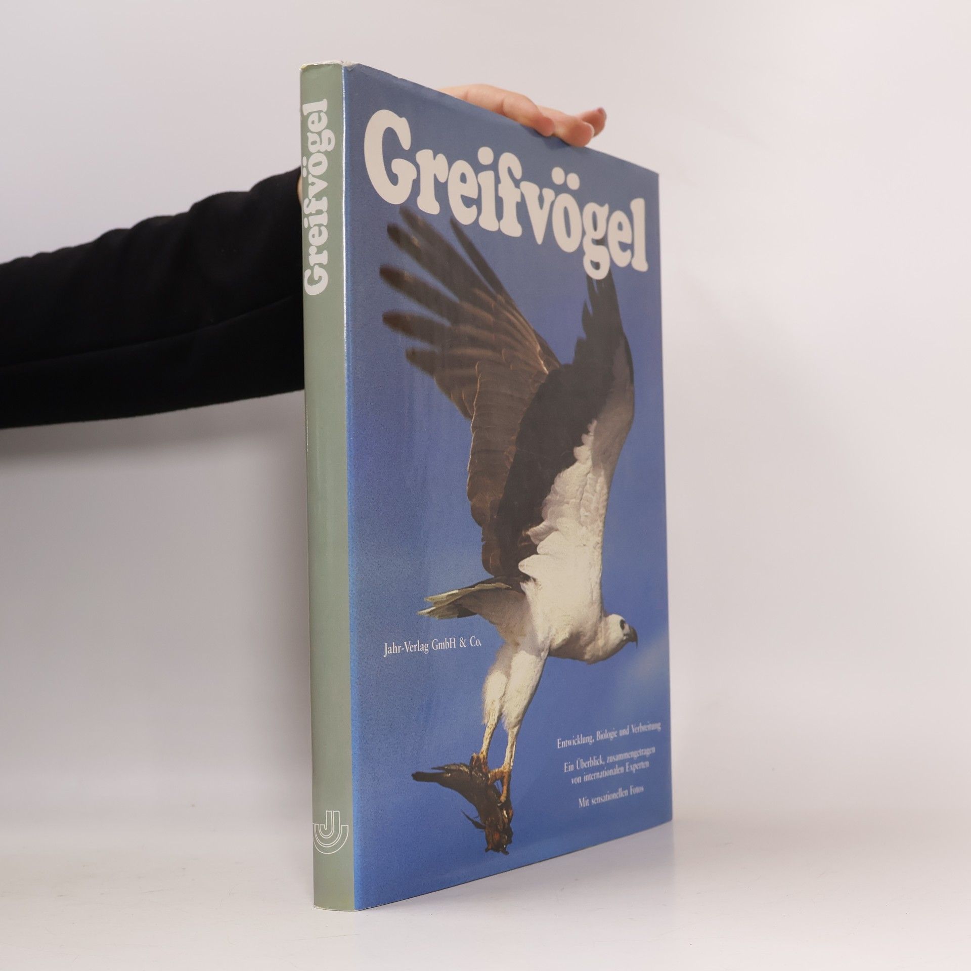 Greifvögel