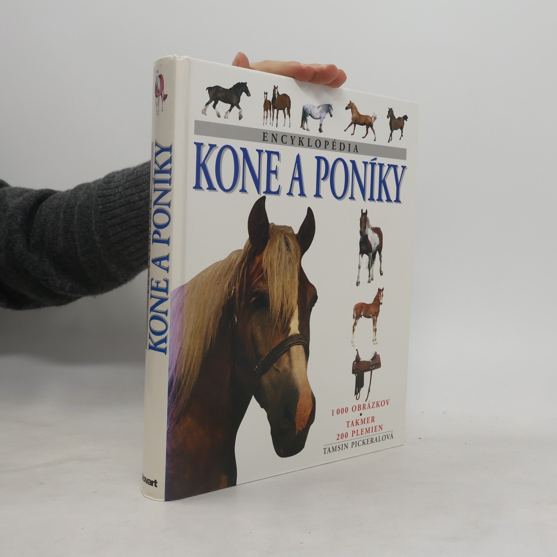 Encyklopédia Kone a poníky