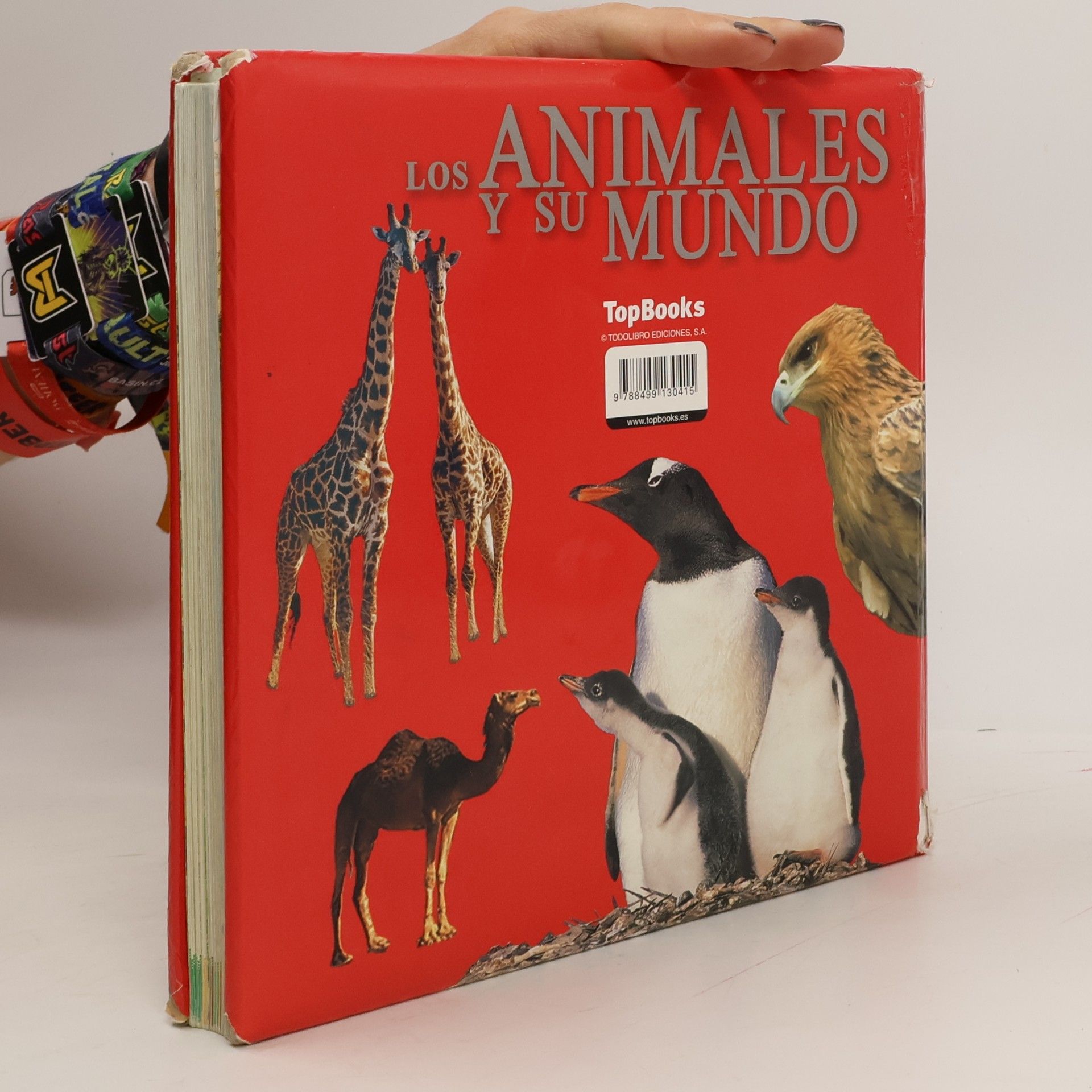 Francesca Chiapponi Los animales y su mundo La Selva