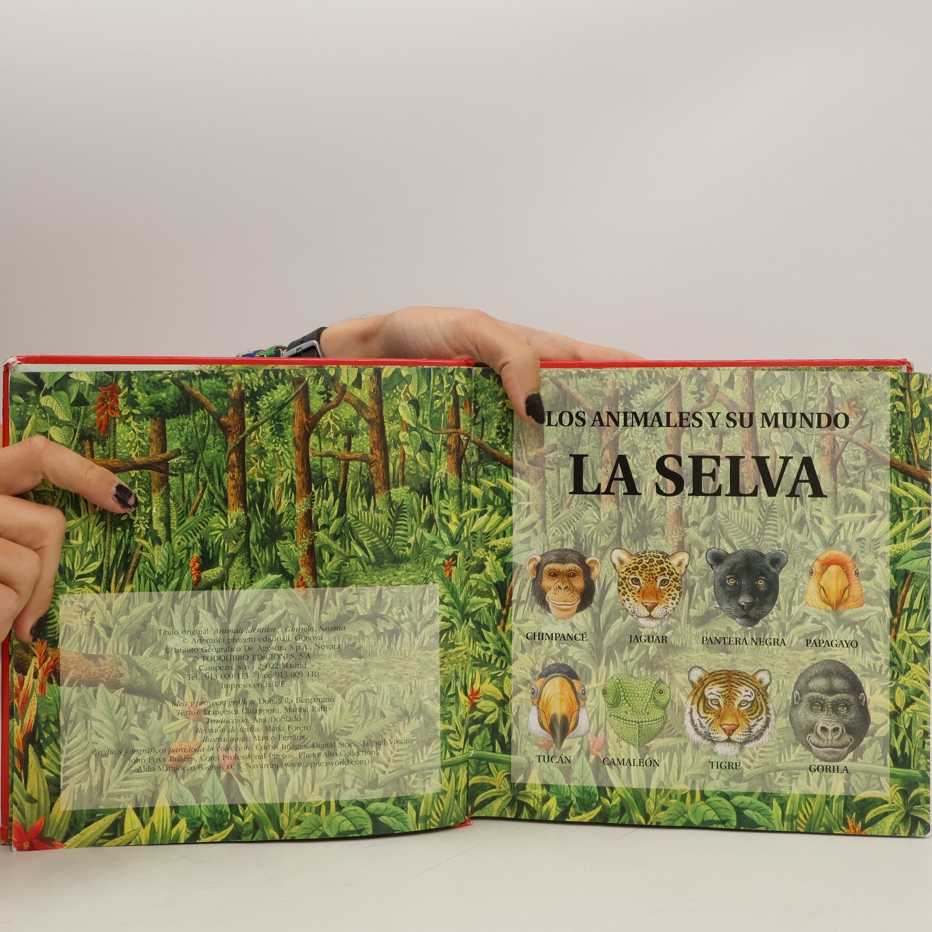 Francesca Chiapponi Los animales y su mundo La Selva