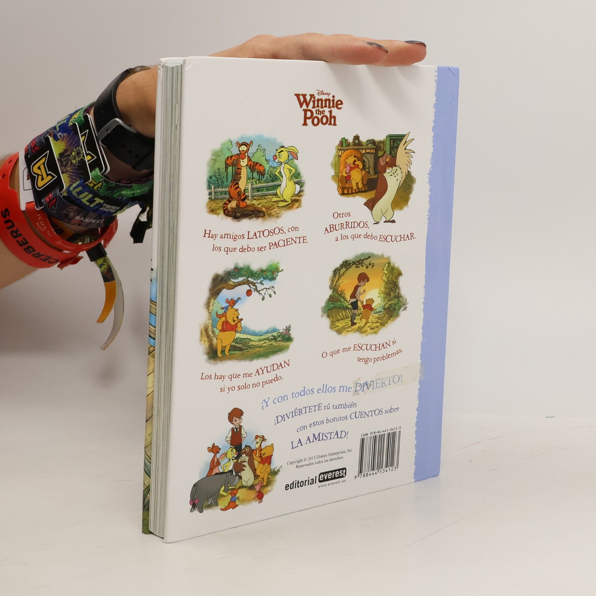 Catherine Hapka Winnie the Pooh. Cuentos de la amistad