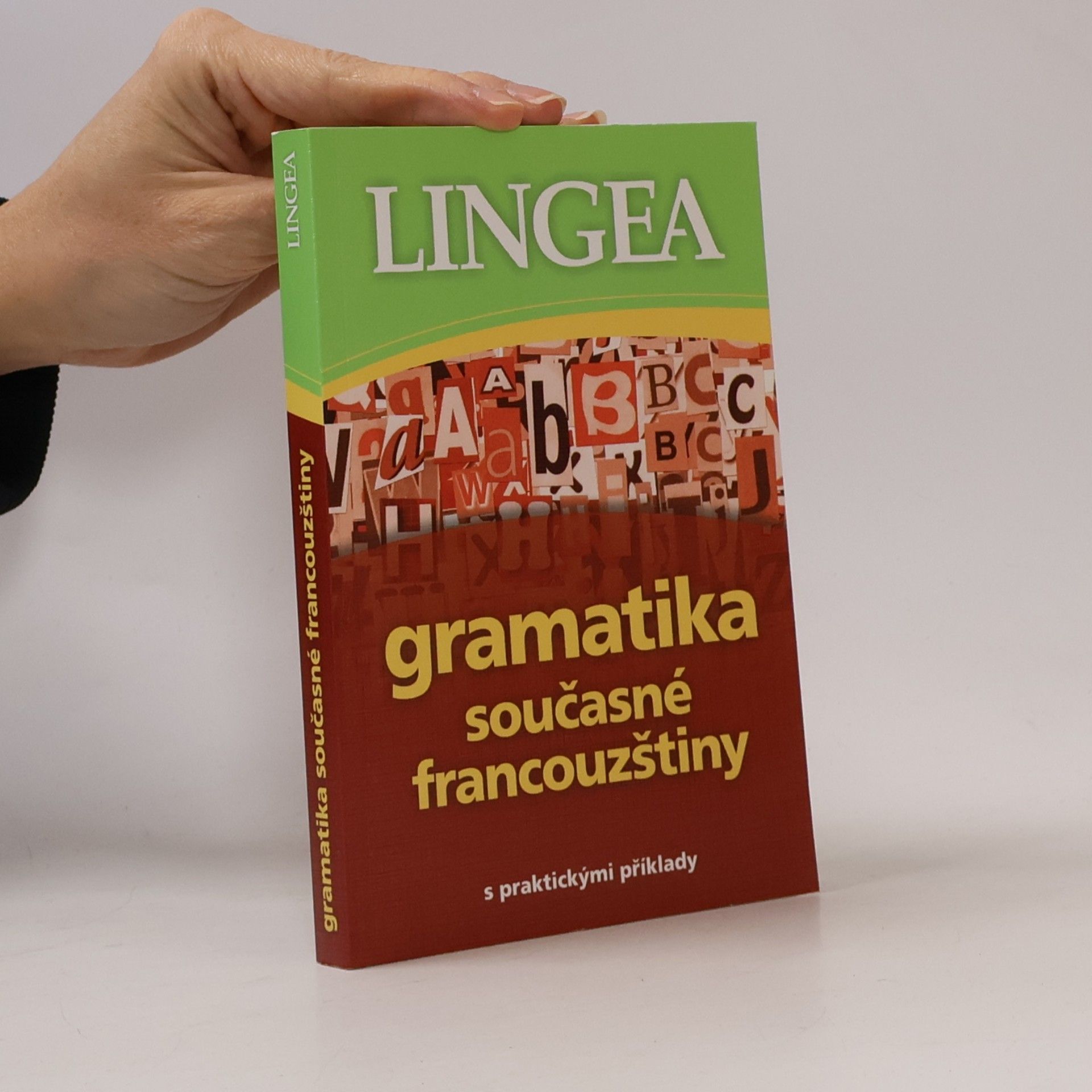 Auteurscollectief Gramatika současné francouzštiny