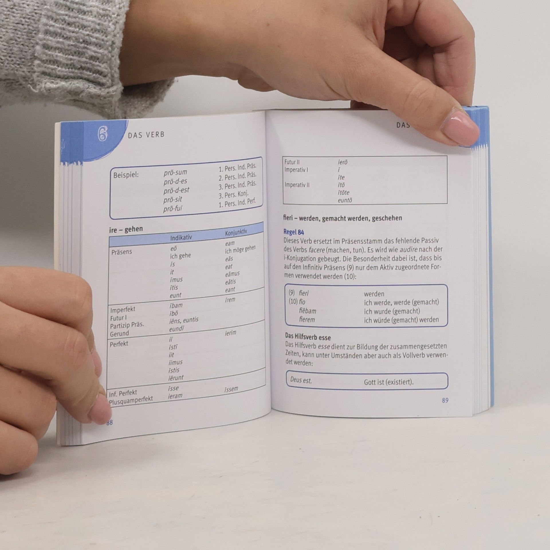 Peter Völk Pocket Spicker: Latein Grammatik