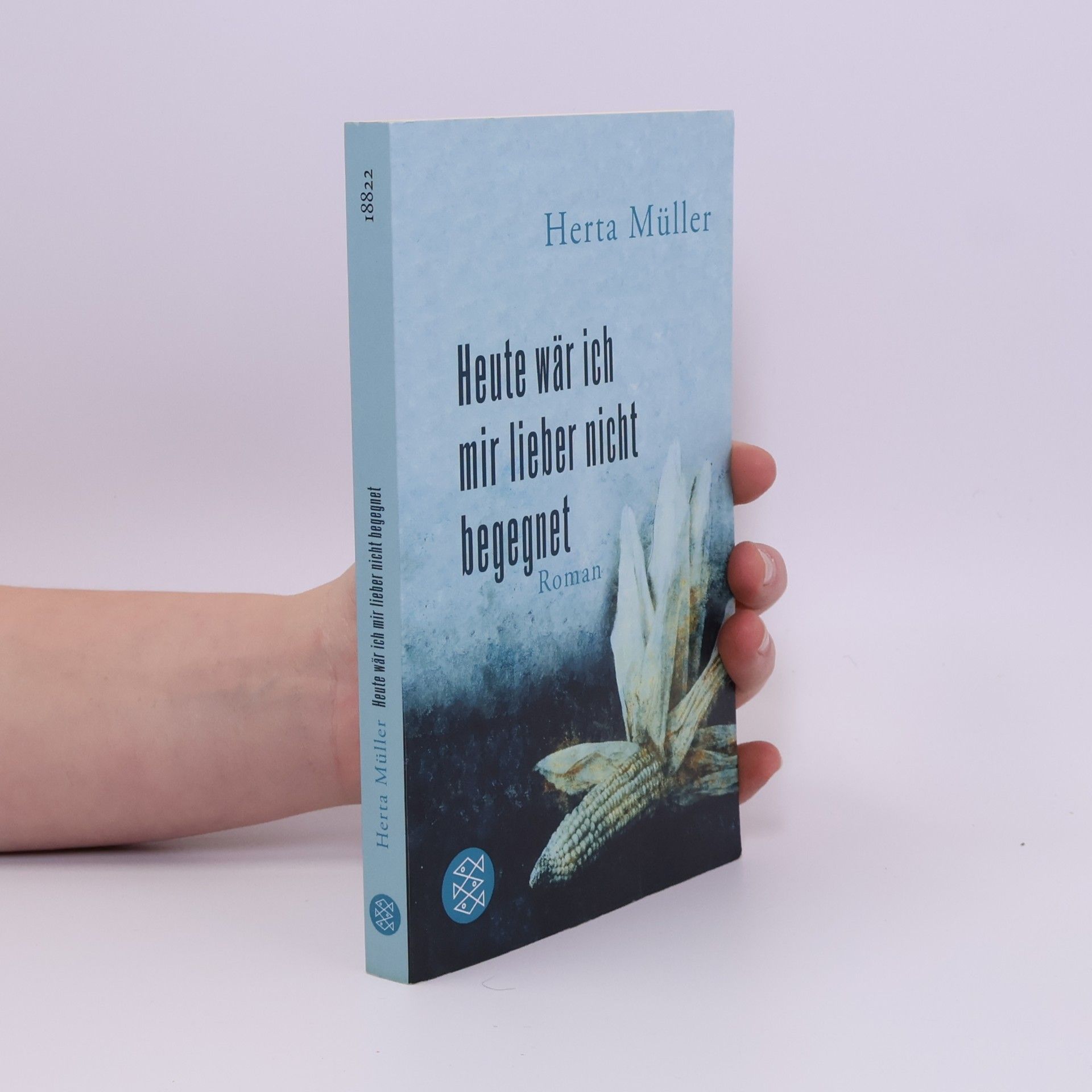 Heute wär ich mir lieber nicht begegnet : Roman