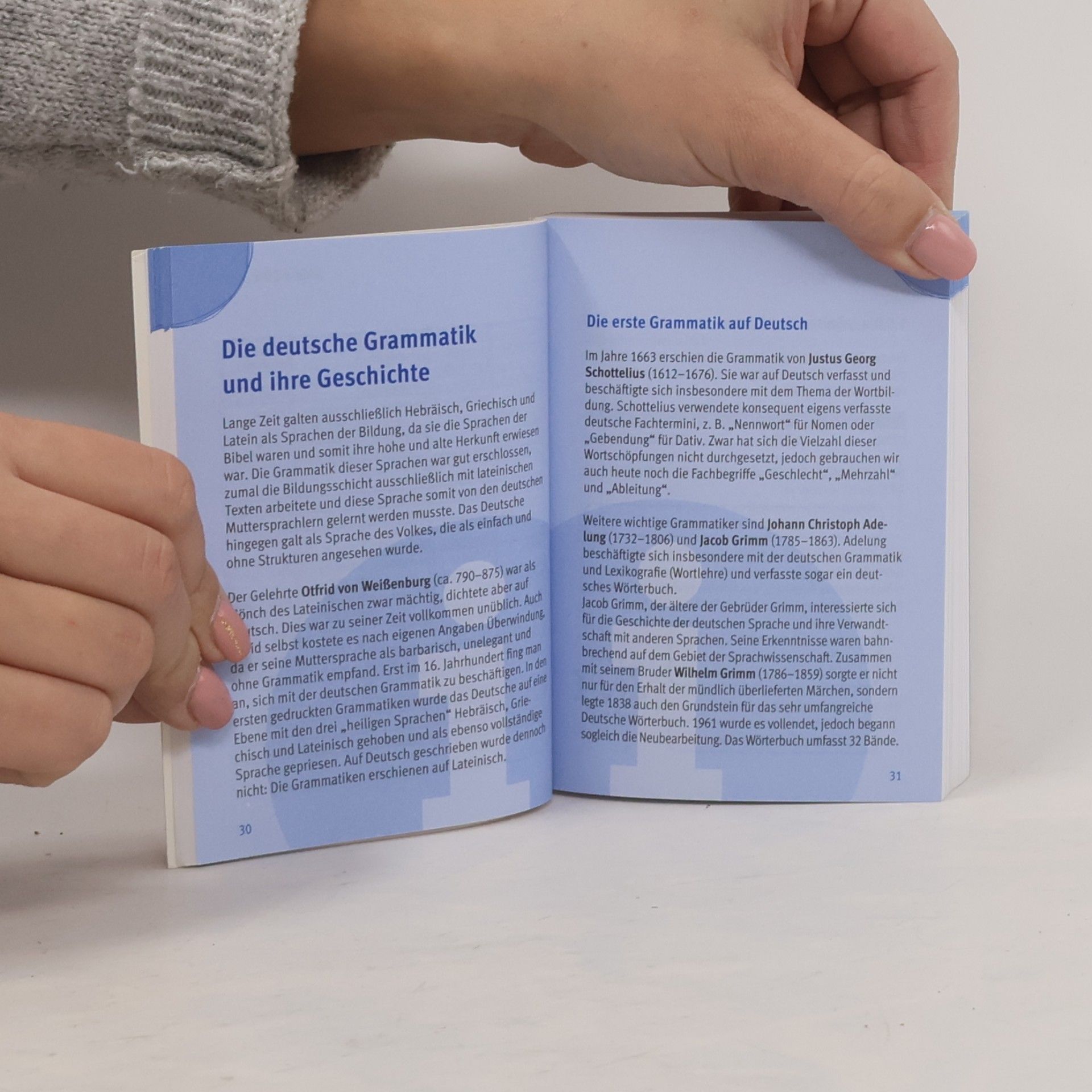 Gesa Füßle Deutsch Grammatik (Pocket Spicker)
