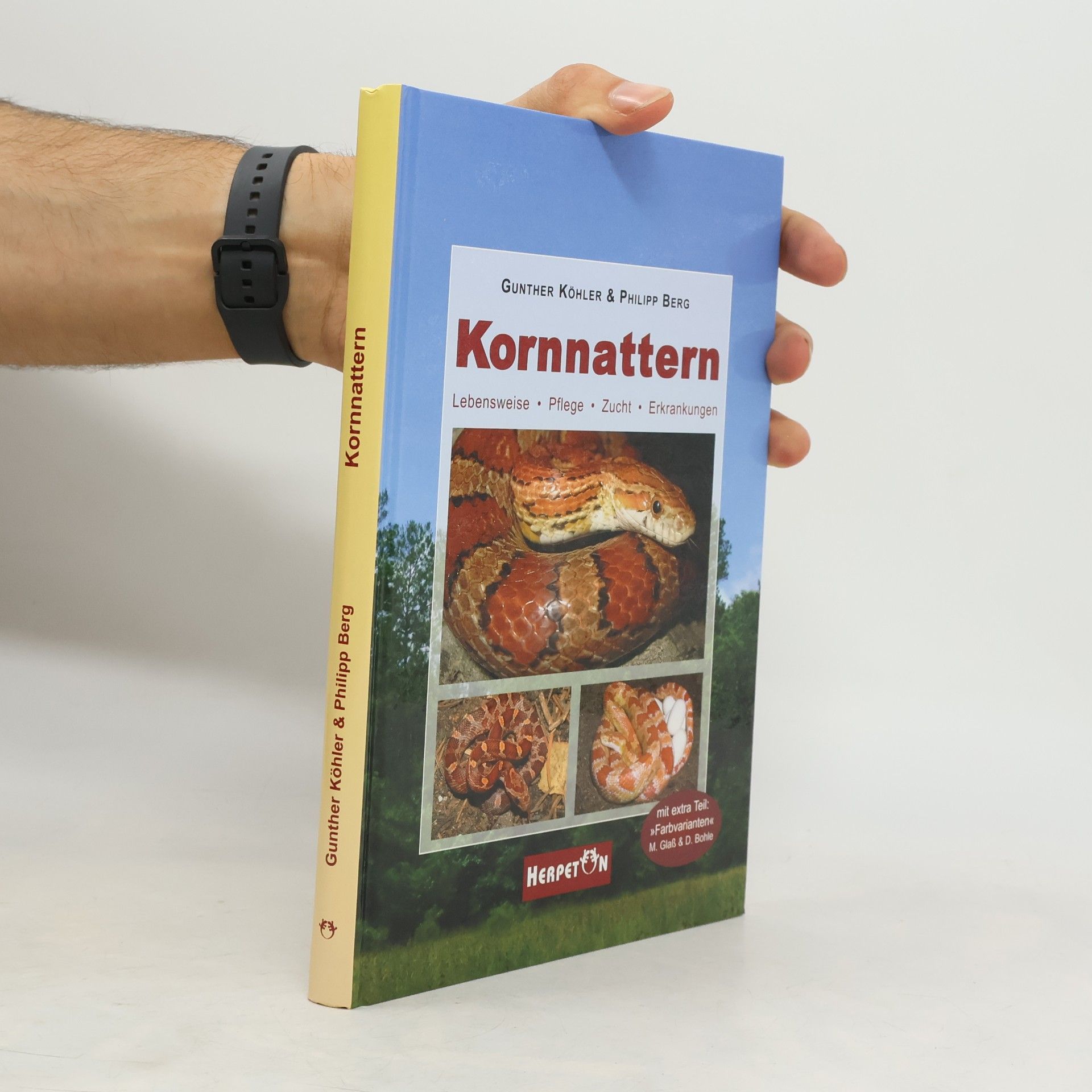 Gunther Köhler Kornnattern