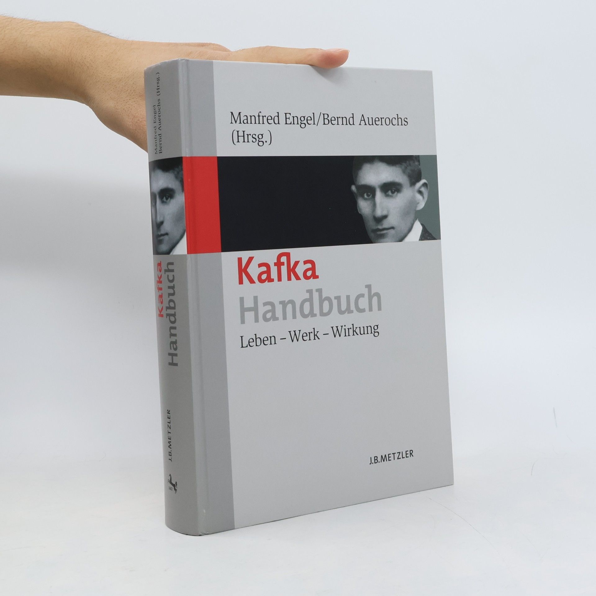 Manfred Engel Kafka-Handbuch