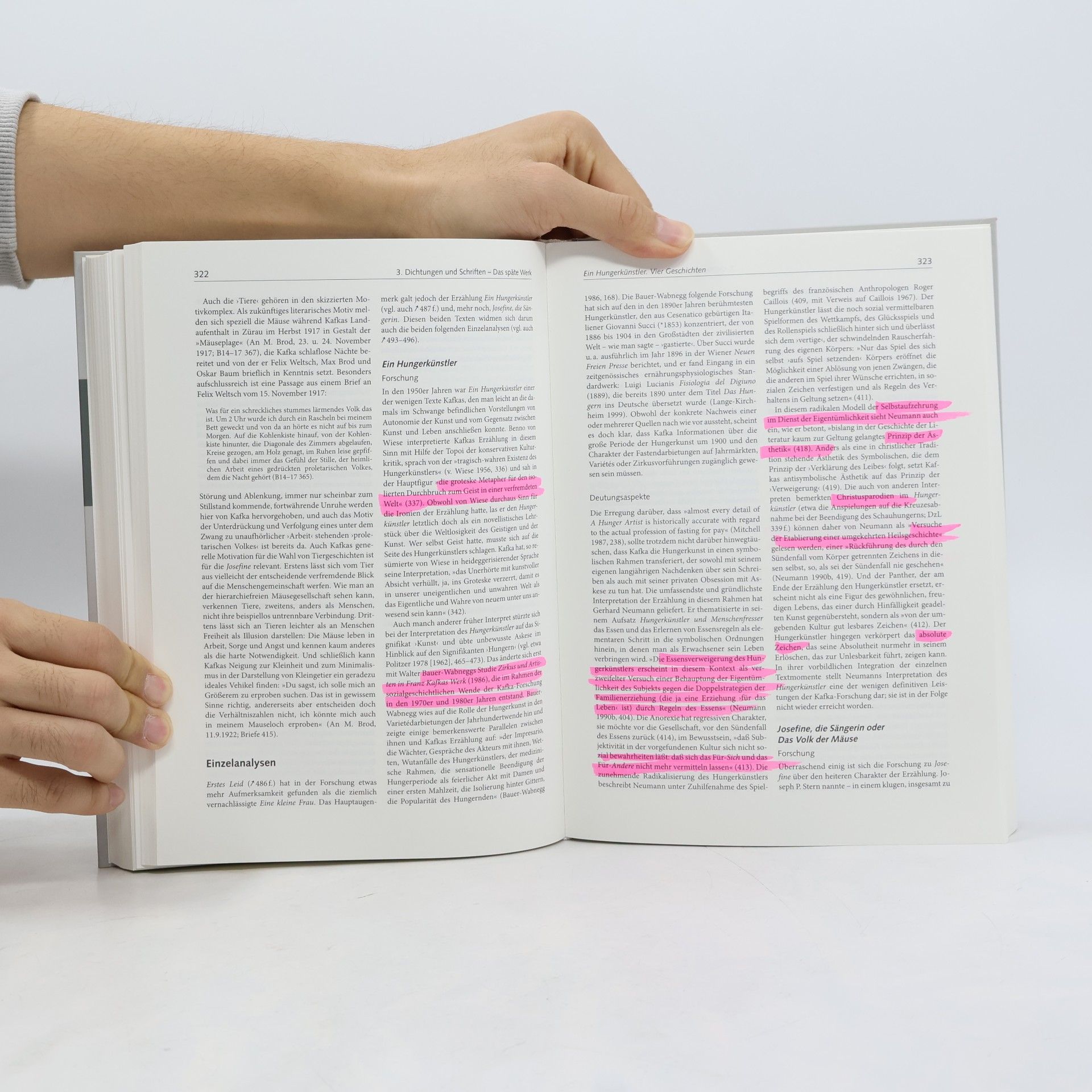 Manfred Engel Kafka-Handbuch