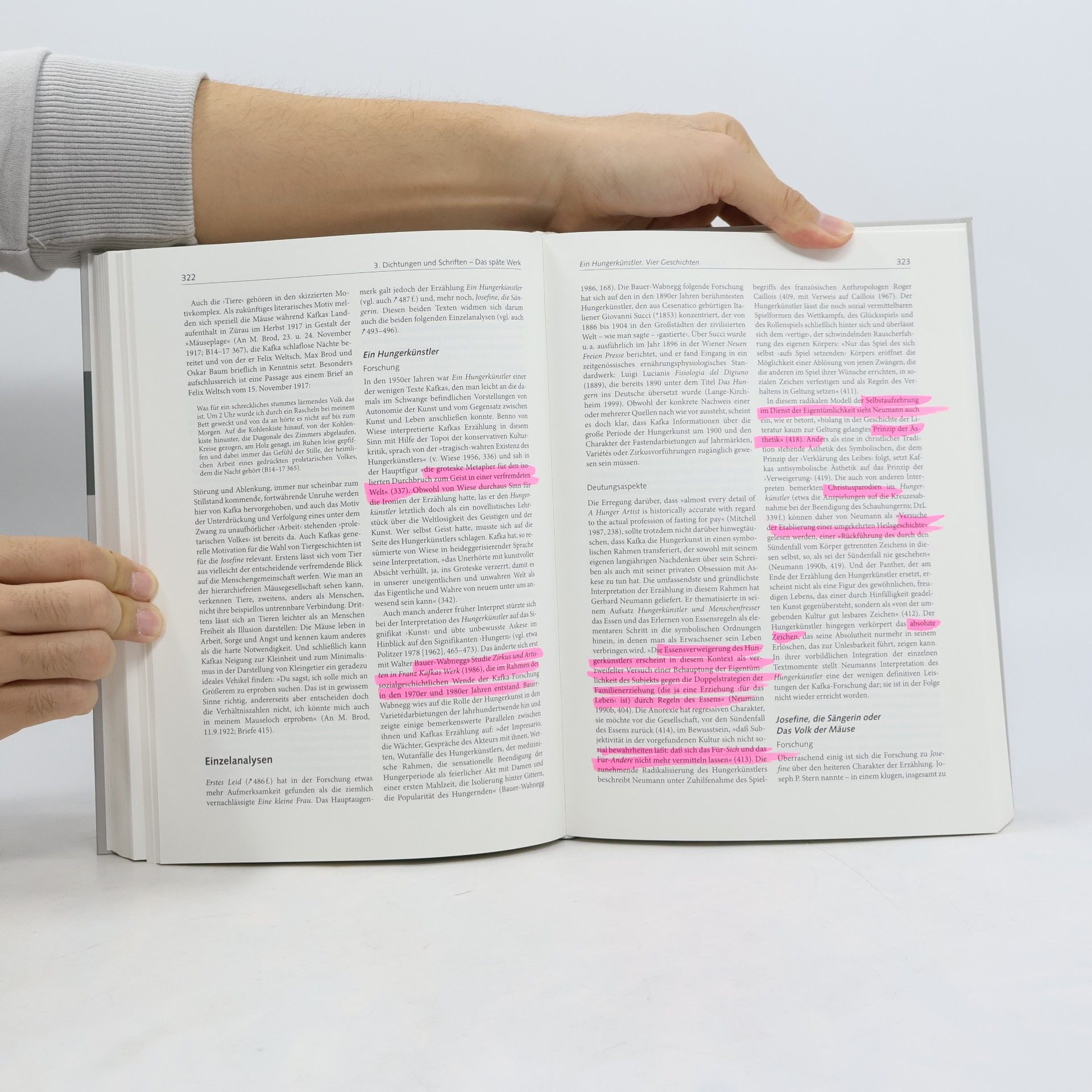 Manfred Engel Kafka-Handbuch