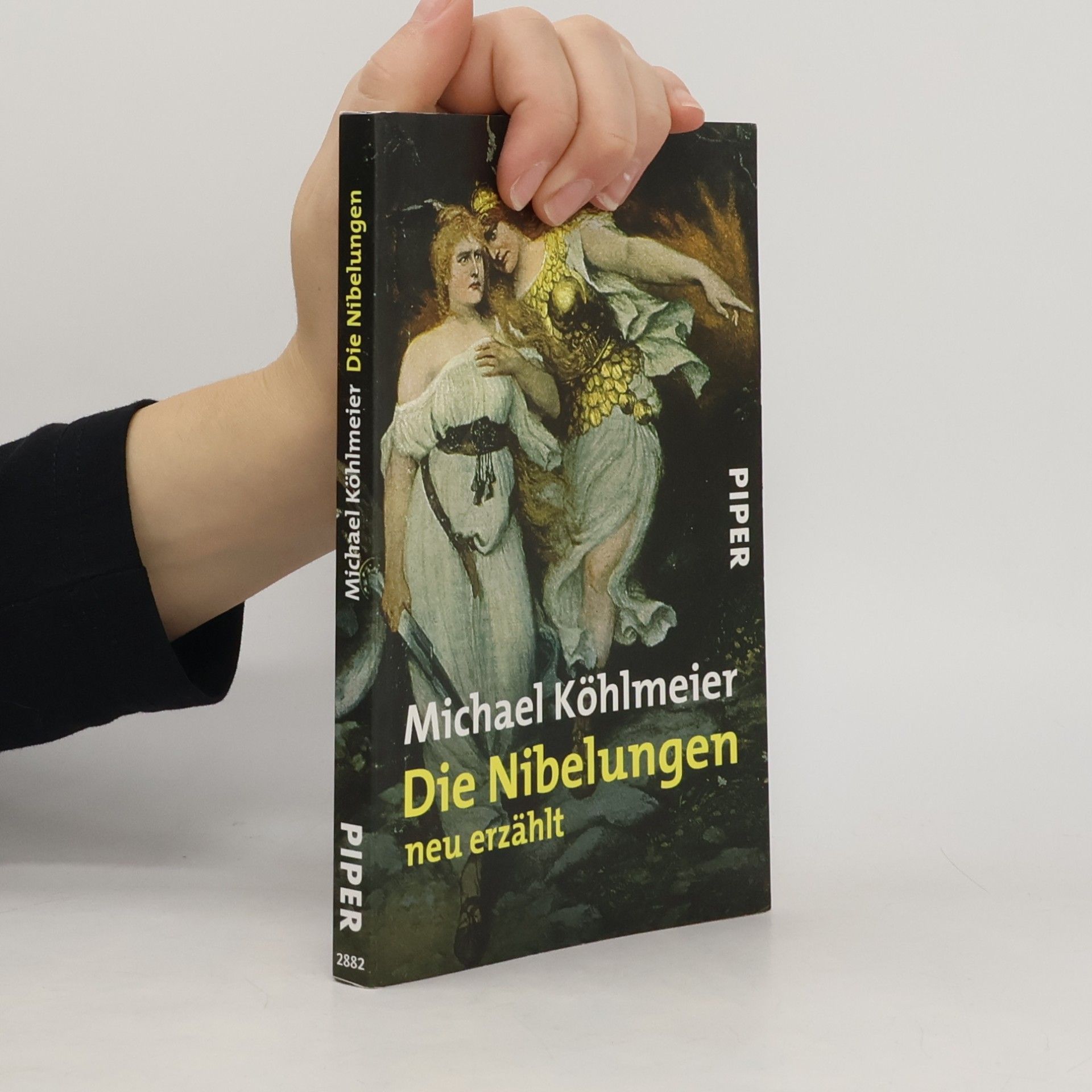Die Nibelungen neu erzählt