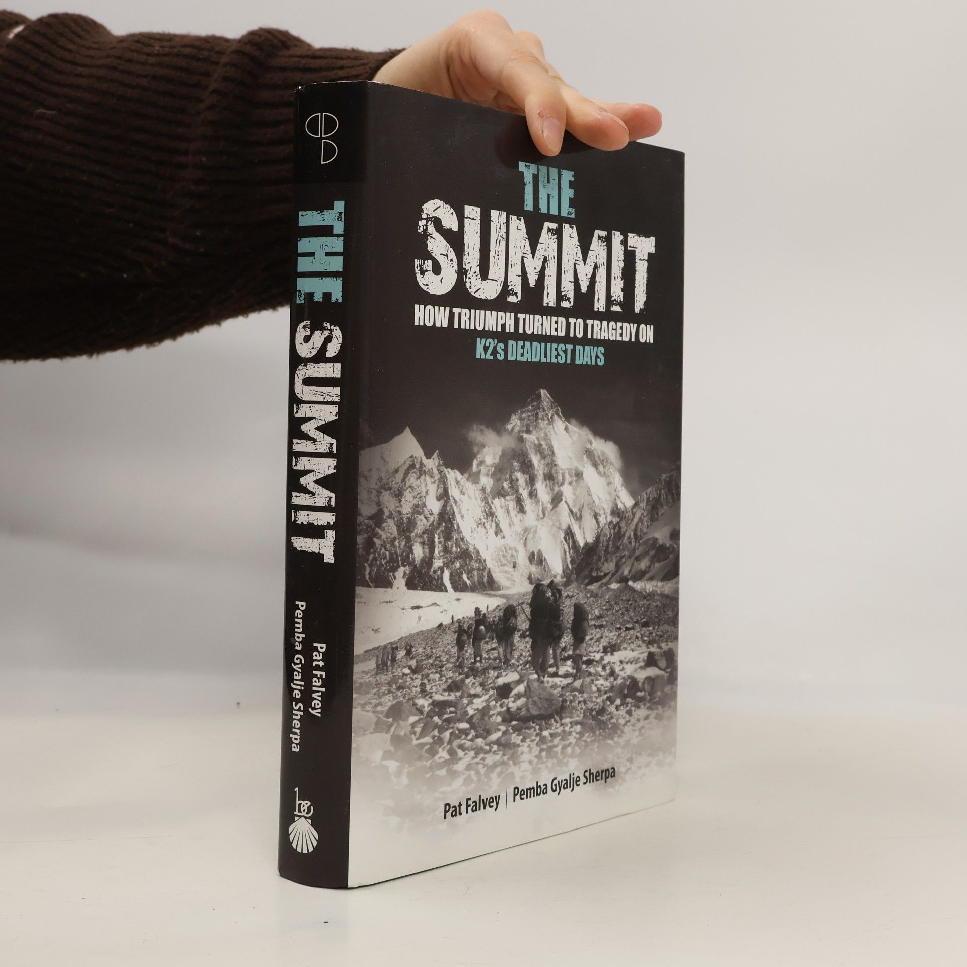 Patricia Falvey The Summit
