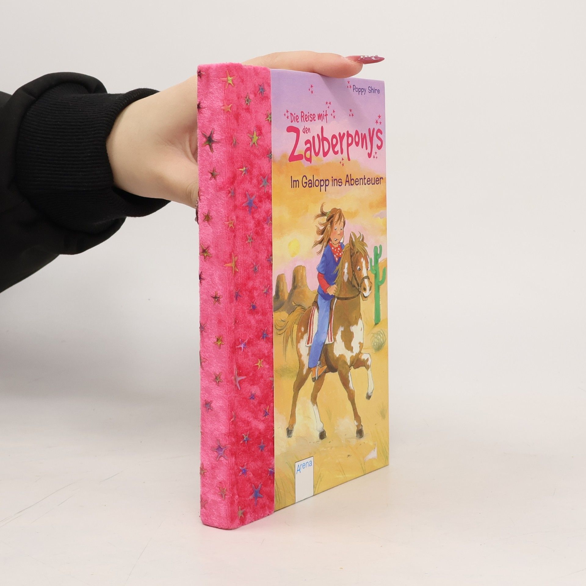 Die Reise mit den Zauberponys. Im Galopp ins Abenteuer