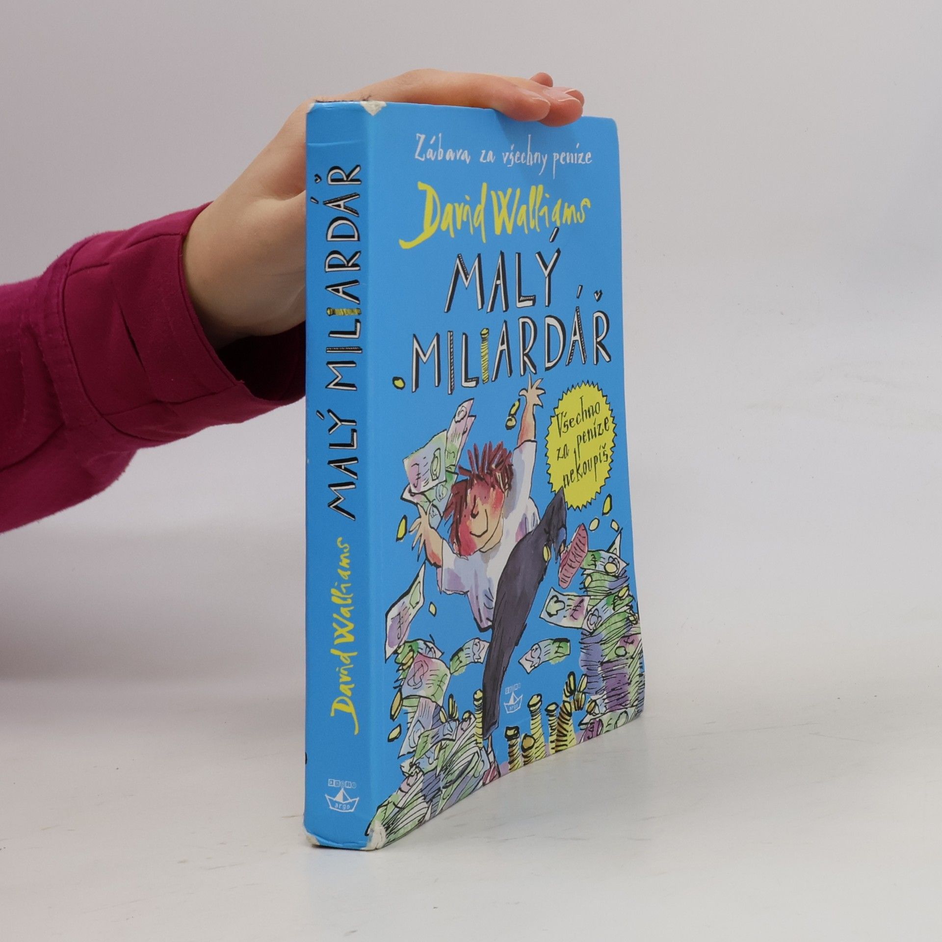 David Walliams Malý miliardář