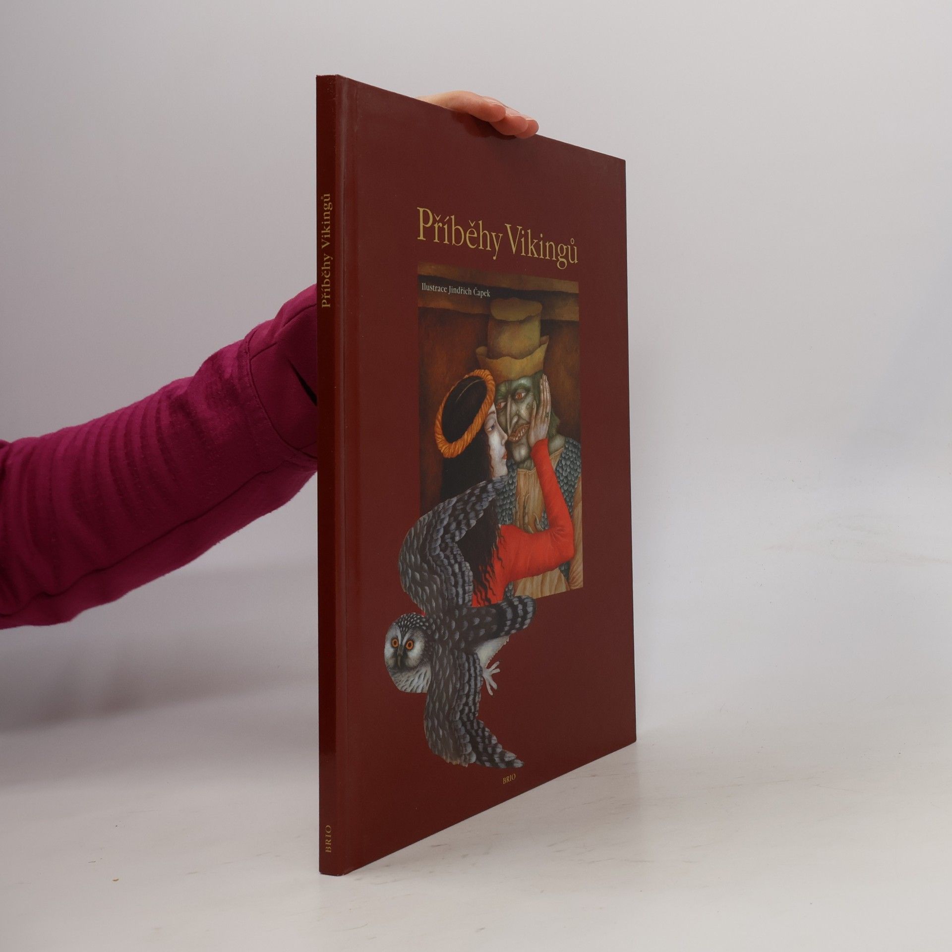 Příběhy Vikingů