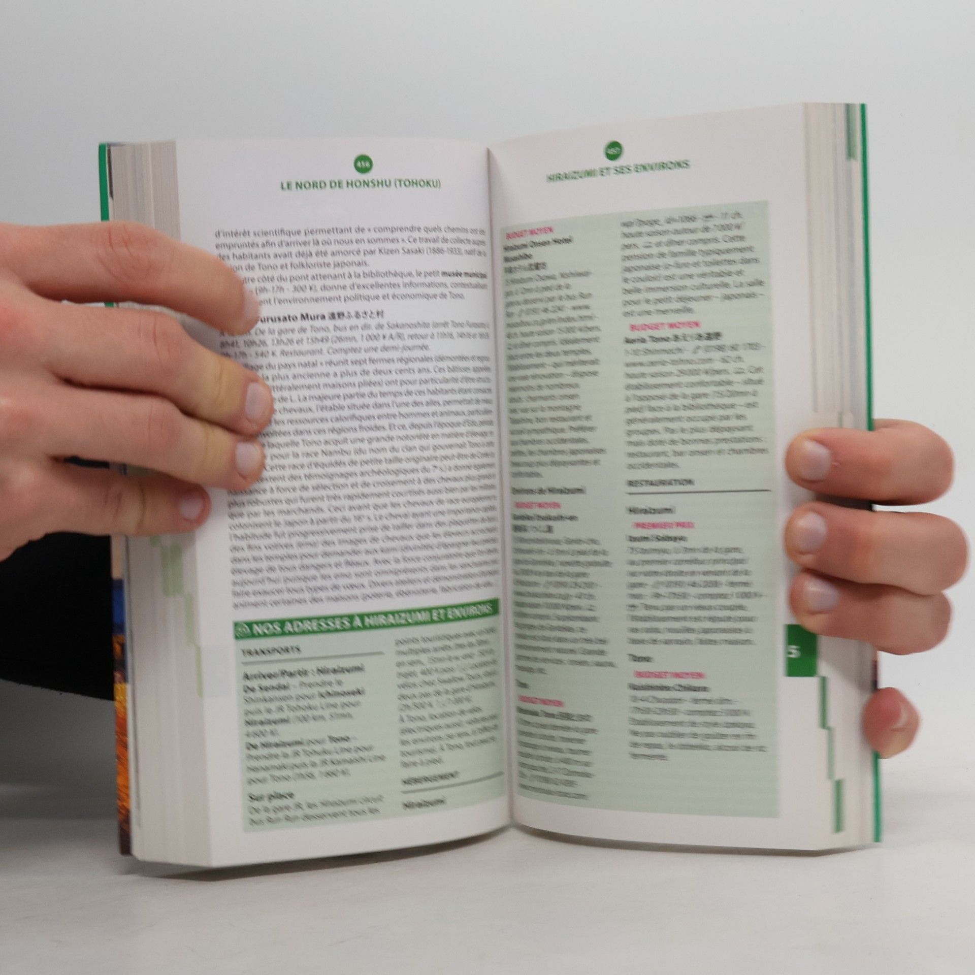 Michelin Le Guide Vert: Japon
