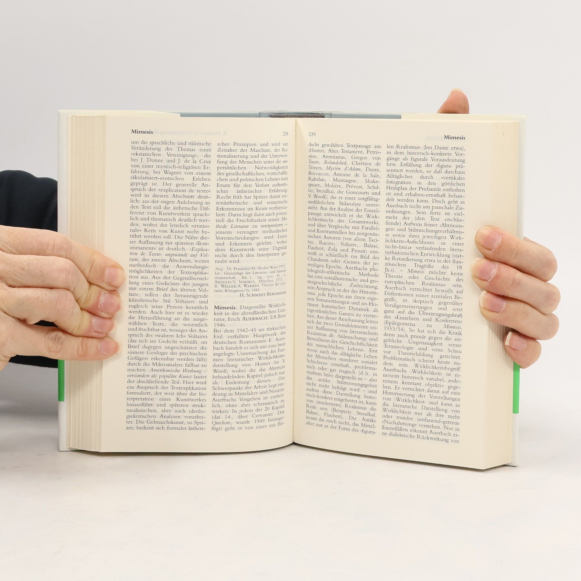 Rolf Günter Renner Lexikon literaturtheoretischer Werke