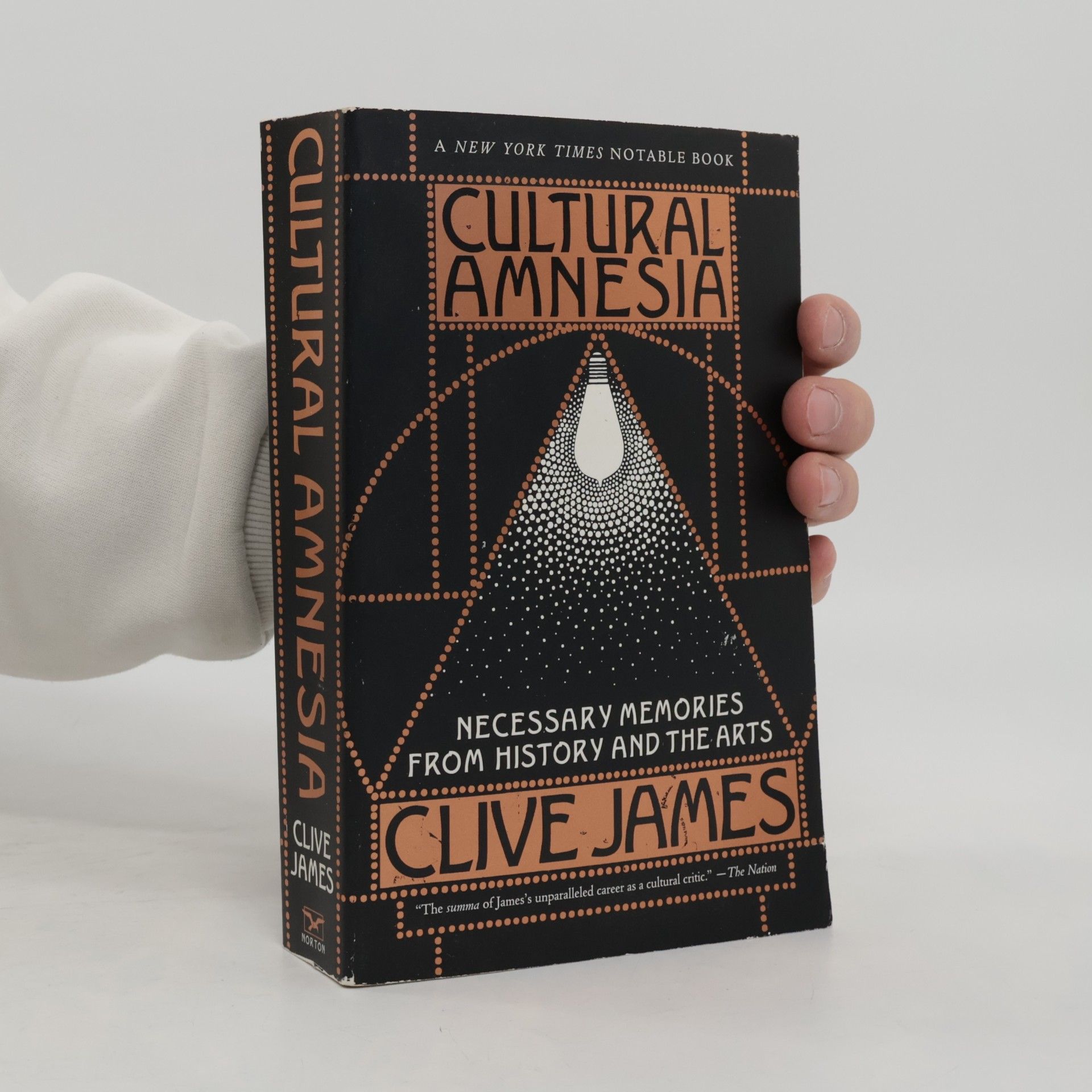 James Clive Cultural Amnesia