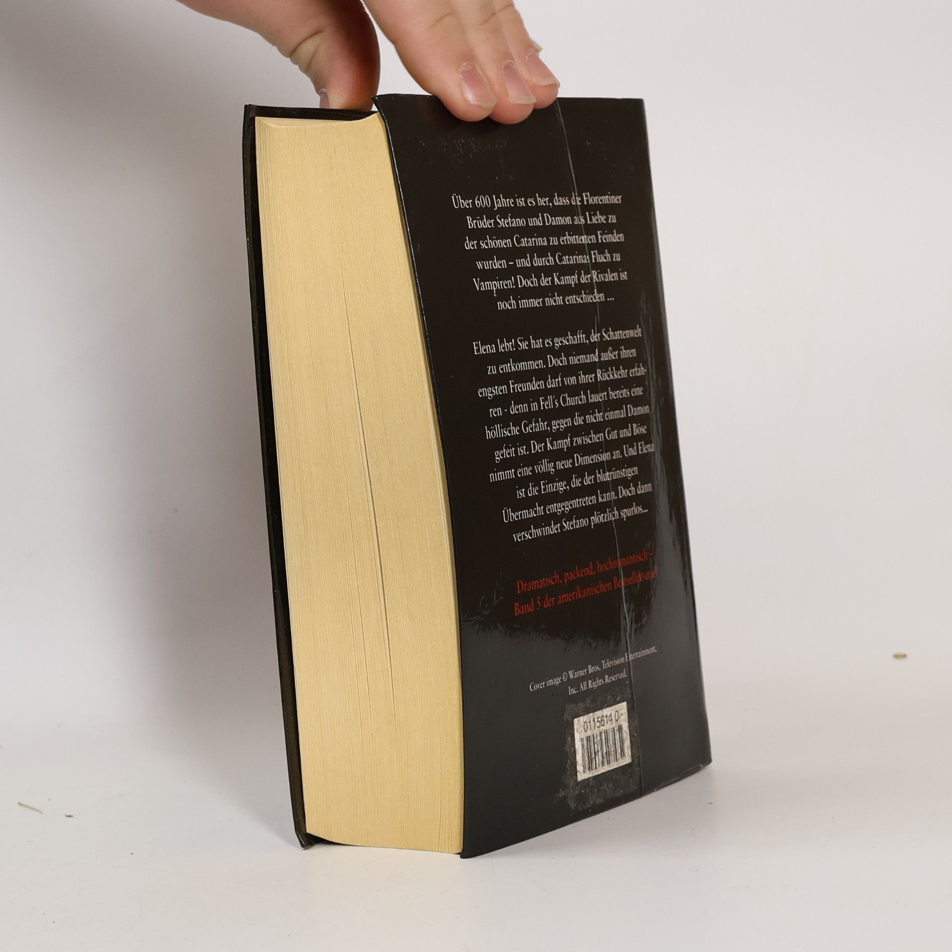 L. J. Smithová  Tagebuch eines Vampirs. In der Dunkelheit in der Schattenwelt