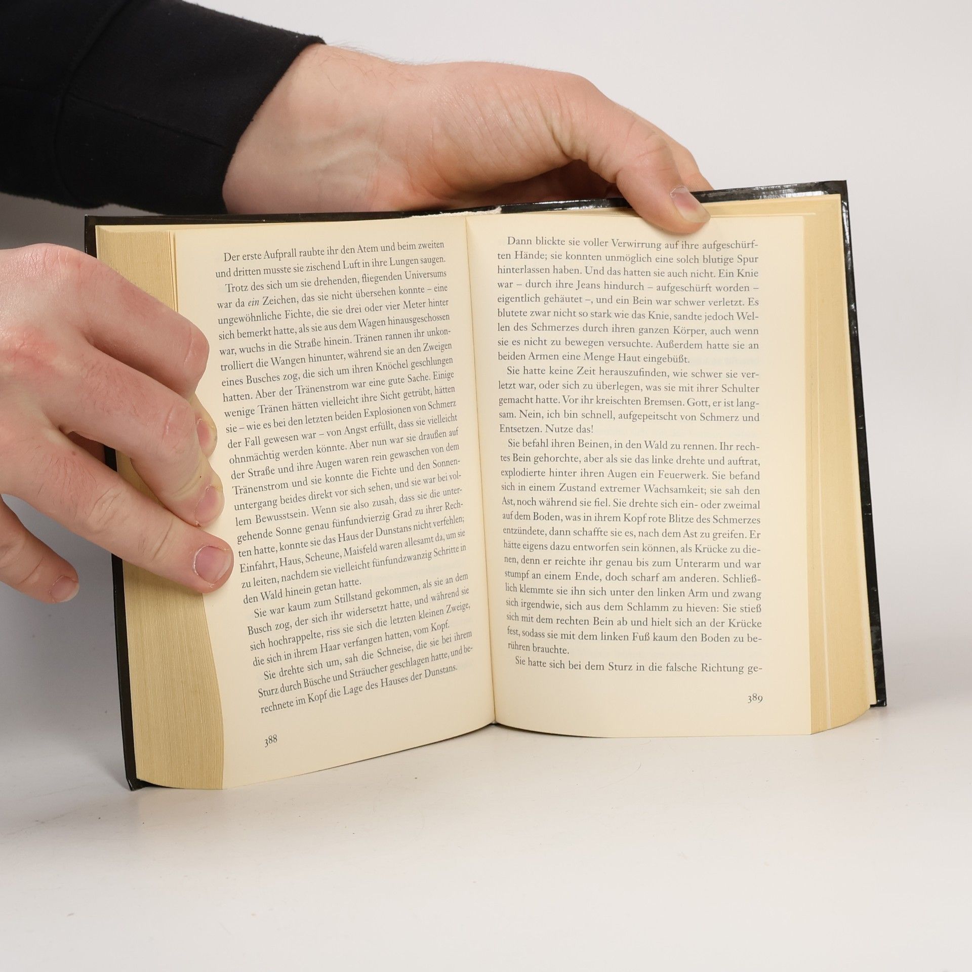 L. J. Smithová  Tagebuch eines Vampirs. In der Dunkelheit in der Schattenwelt