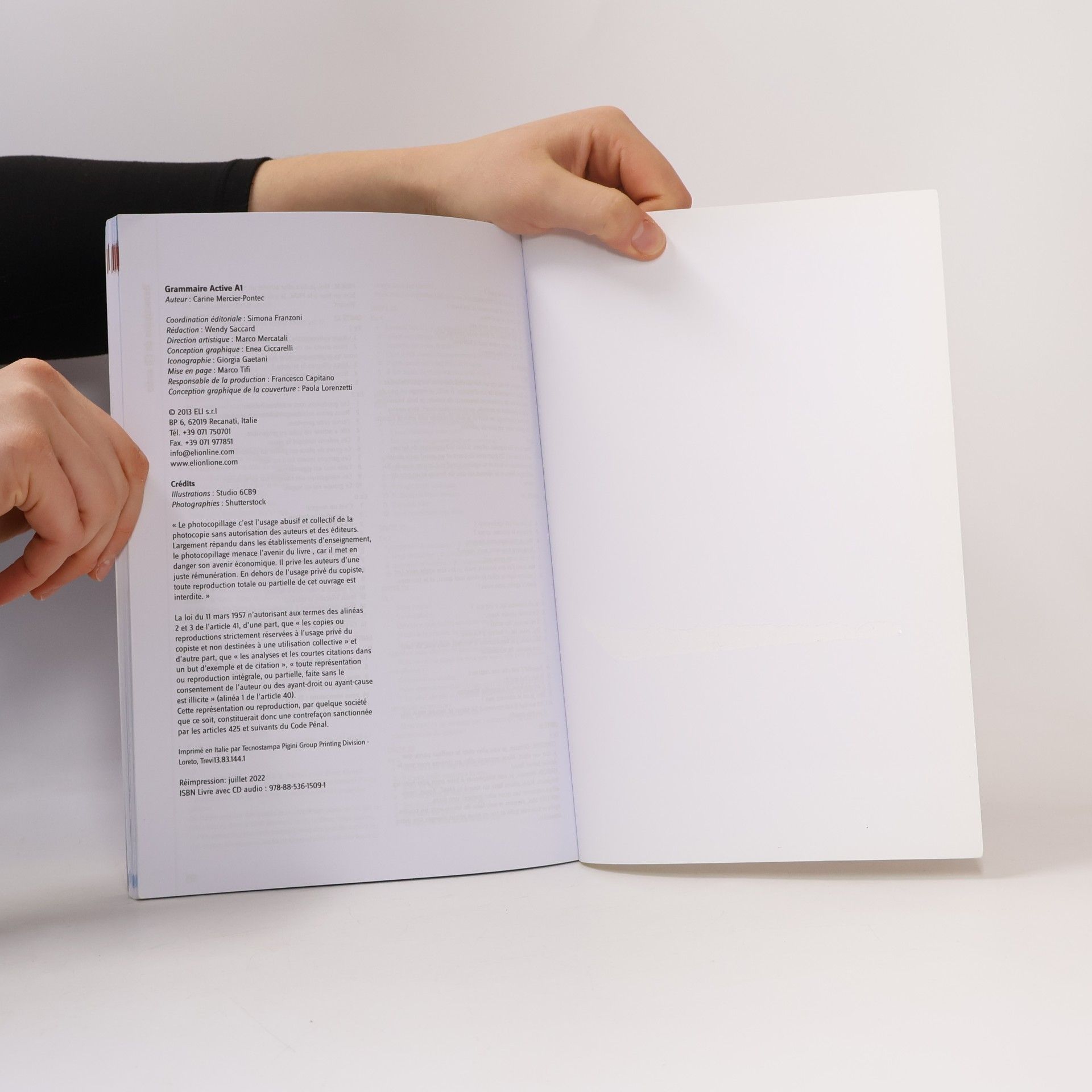 Carine Mercier Pontec Grammaire active A1 + CD