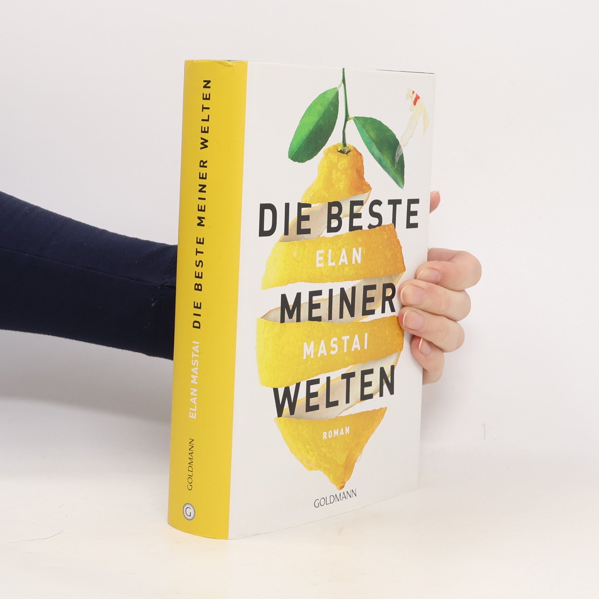 Die beste meiner Welten