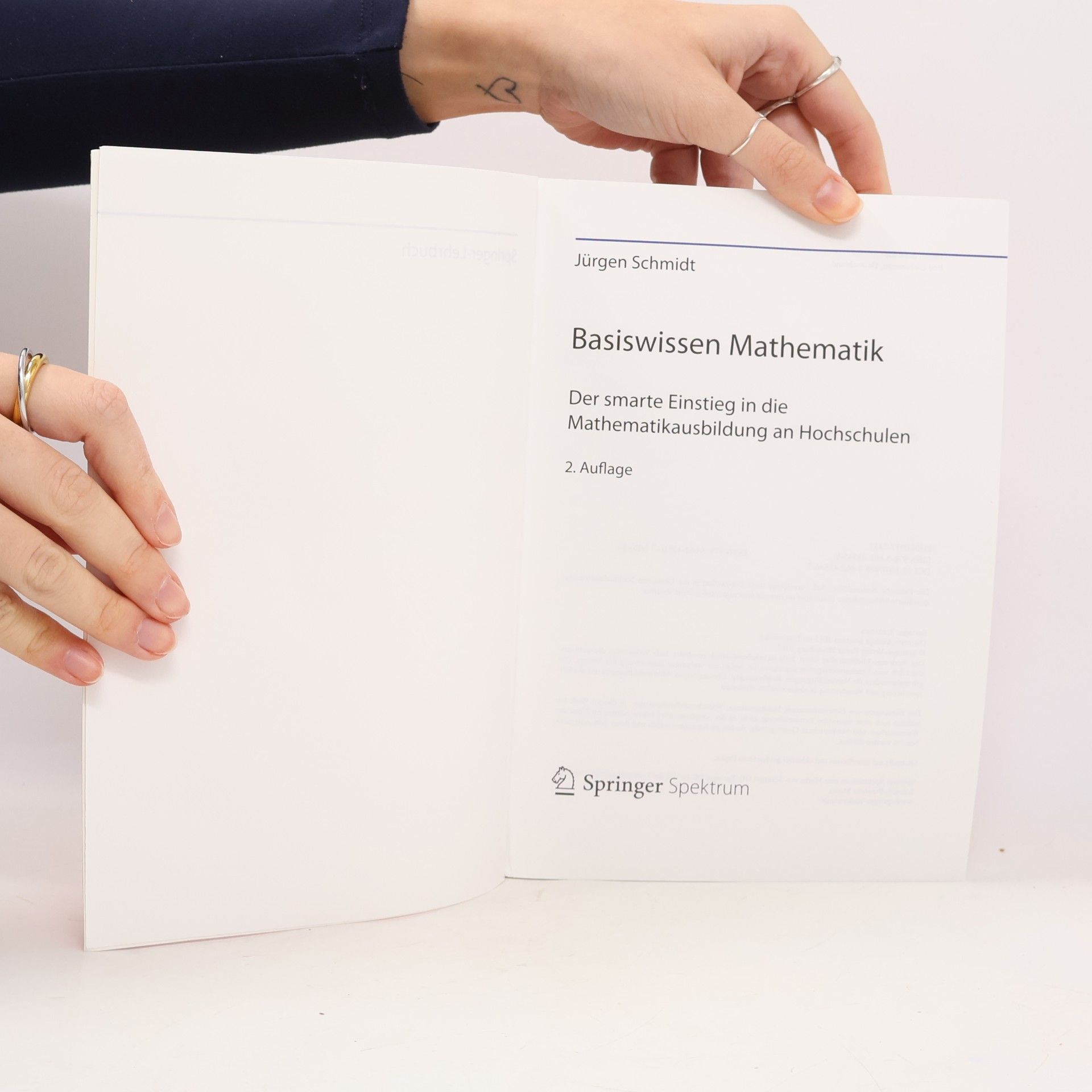 Jürgen Schmidt-Radefeldt Basiswissen Mathematik