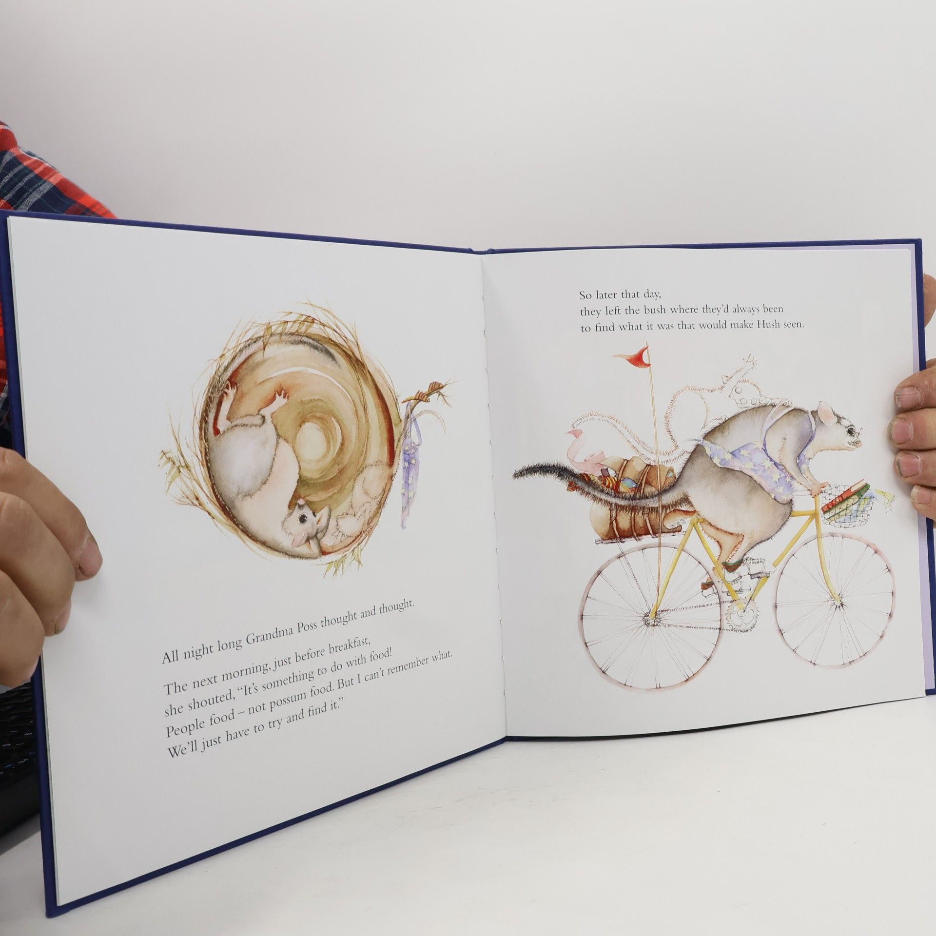 Mem Fox Possum Magic 35th Anniversary Edition