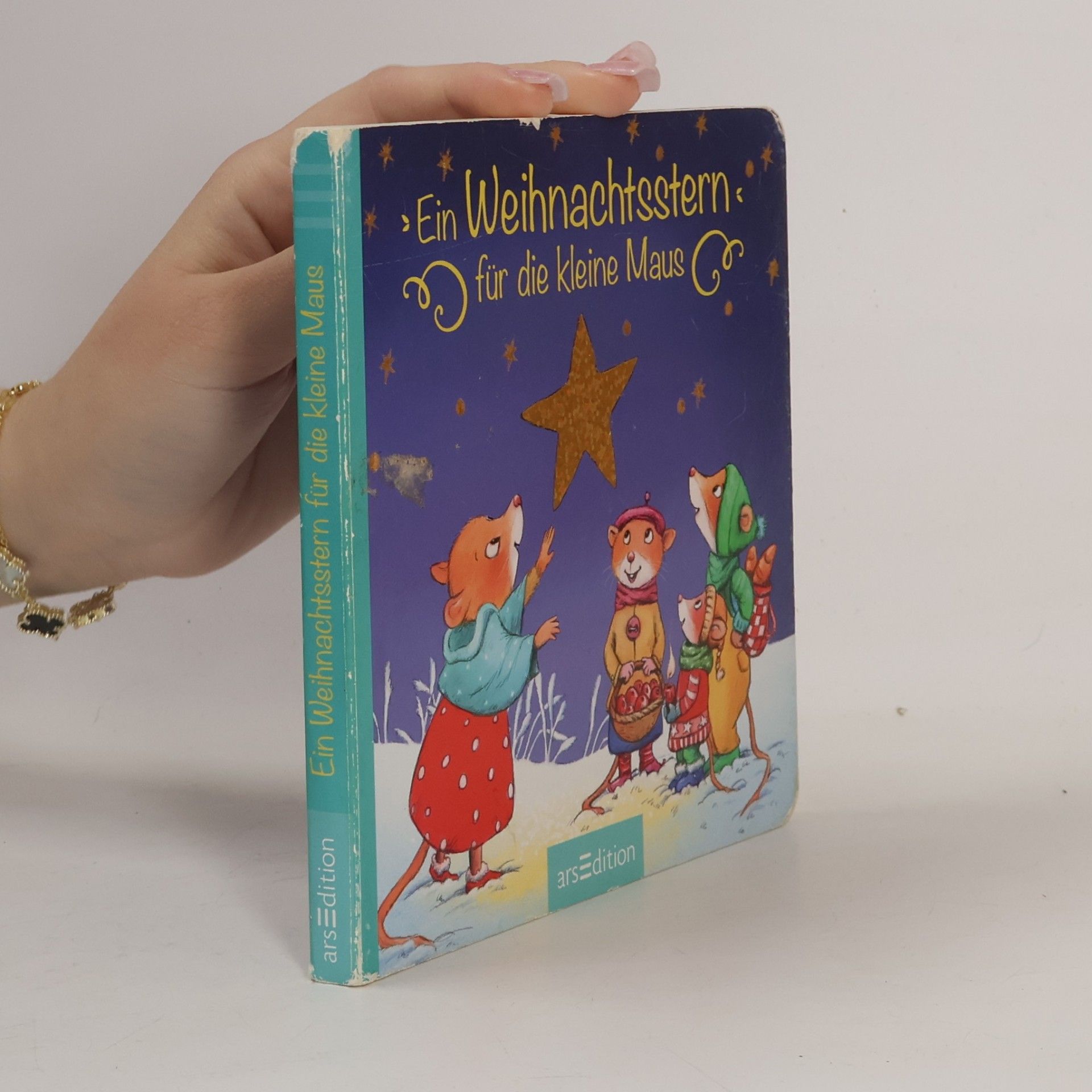 Sabine Straub Ein Weihnachtsstern für die kleine Maus