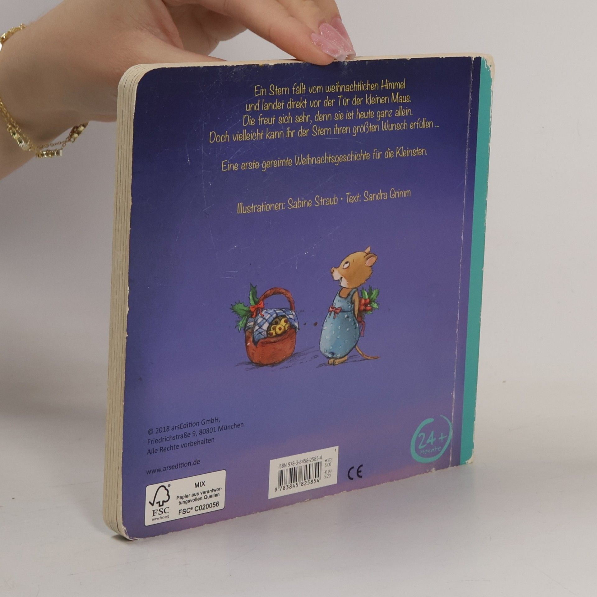 Sabine Straub Ein Weihnachtsstern für die kleine Maus