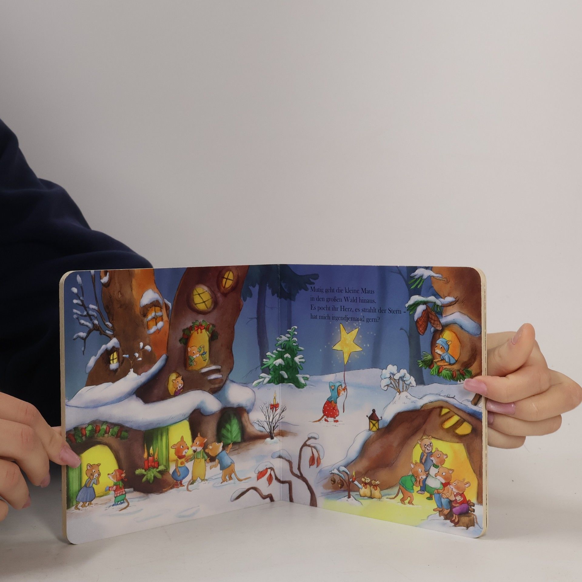 Sabine Straub Ein Weihnachtsstern für die kleine Maus