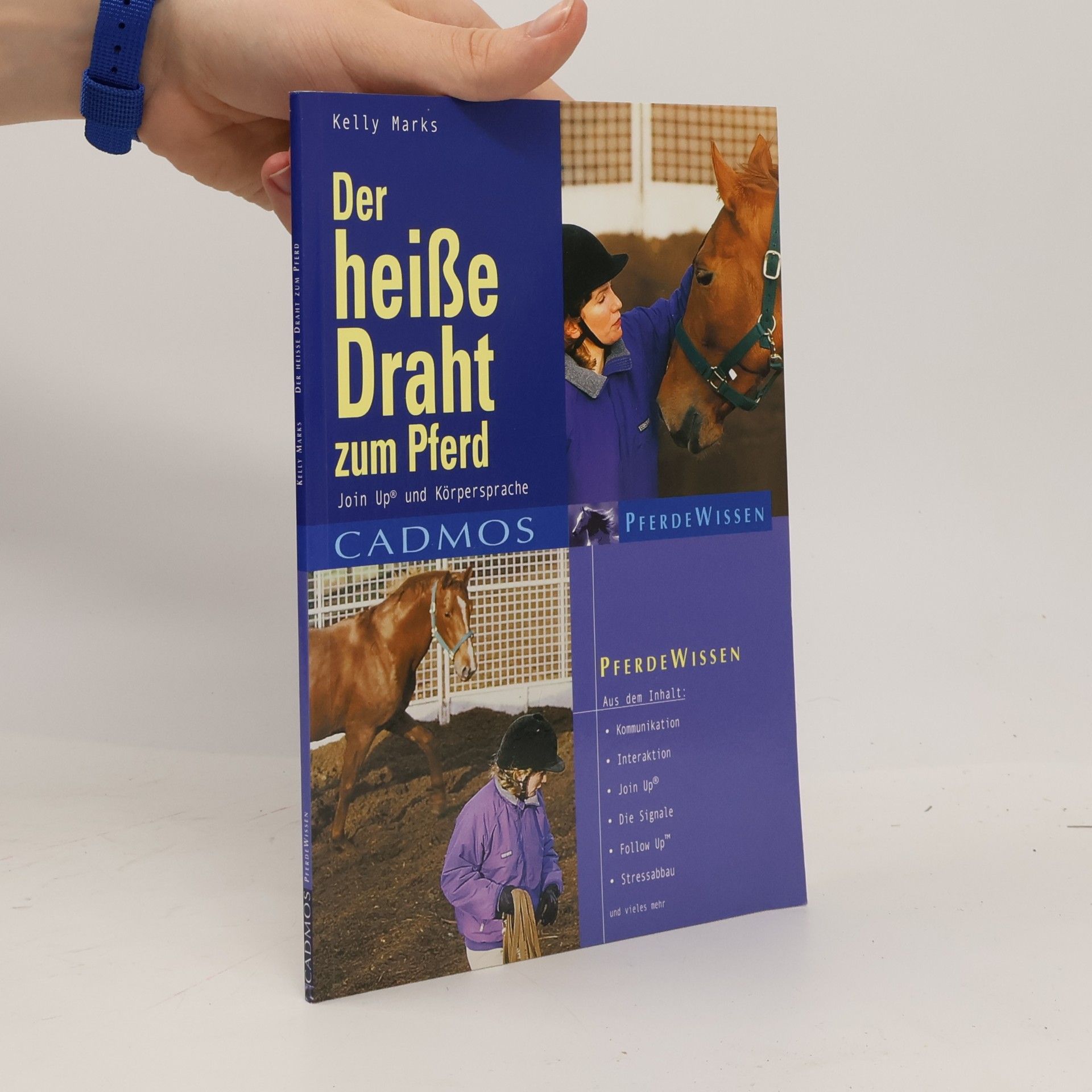 Der heiße Draht zum Pferd
