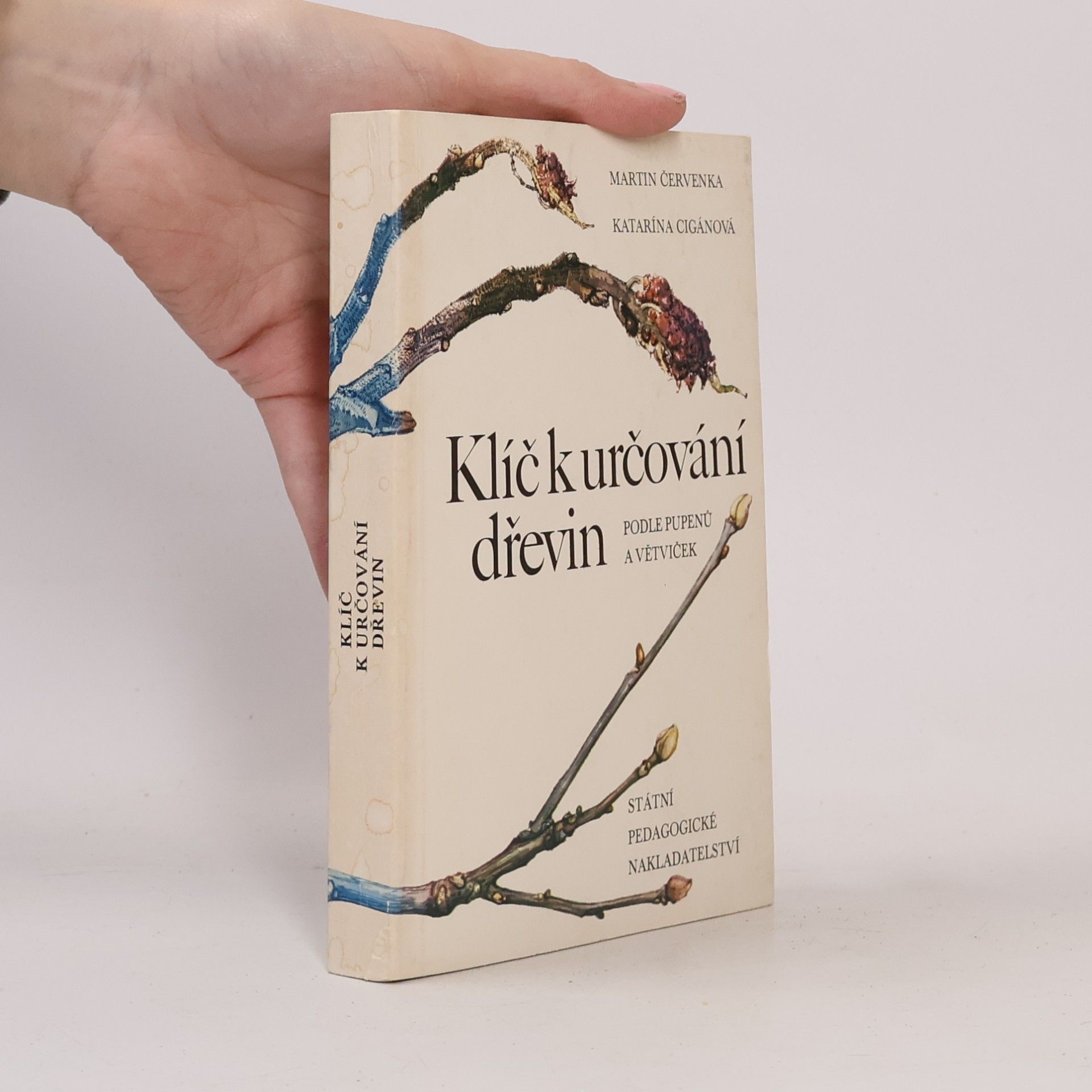 Klíč k určování dřevin podle pupenů a větviček