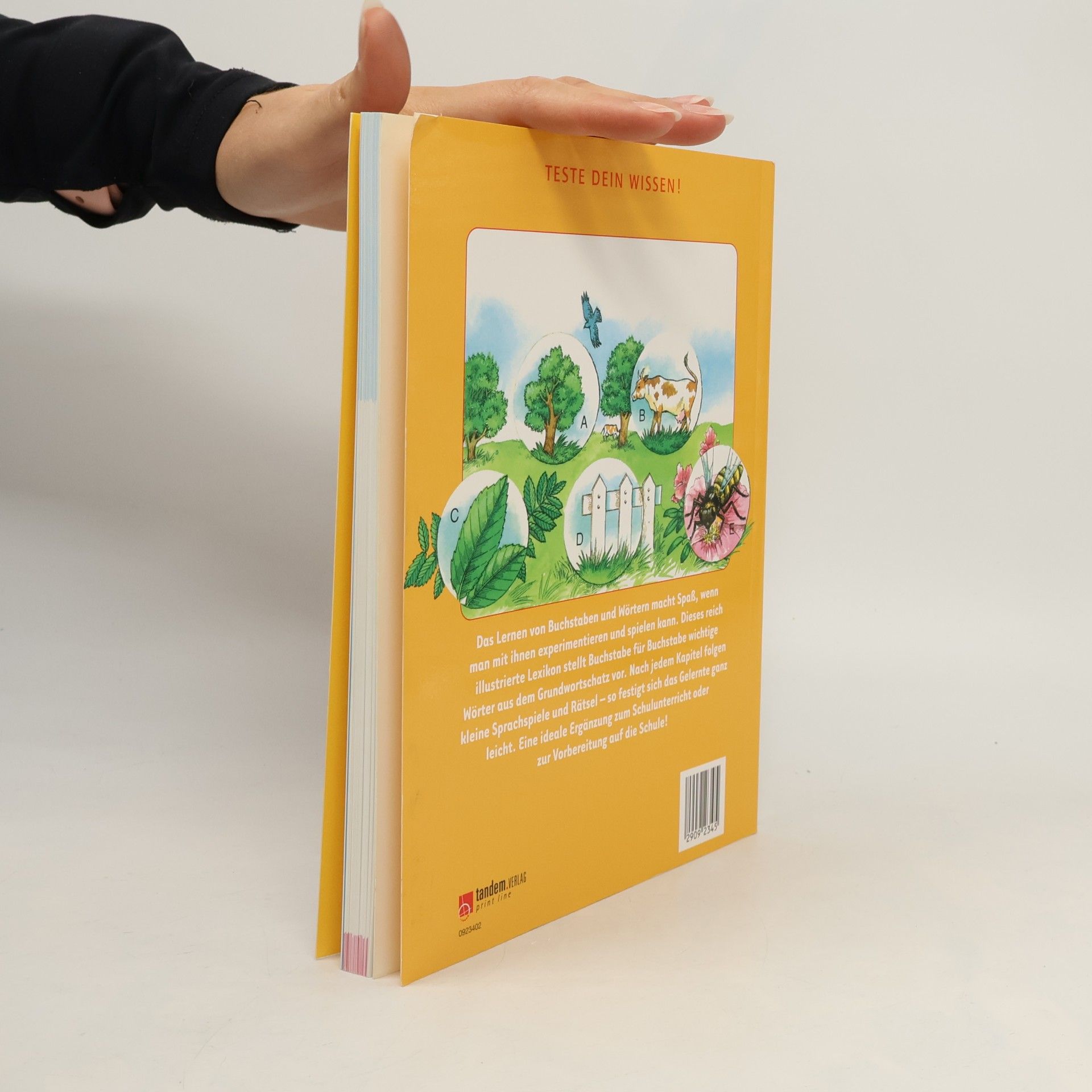 Verlag Tandem Teste dein Wissen - Wörter