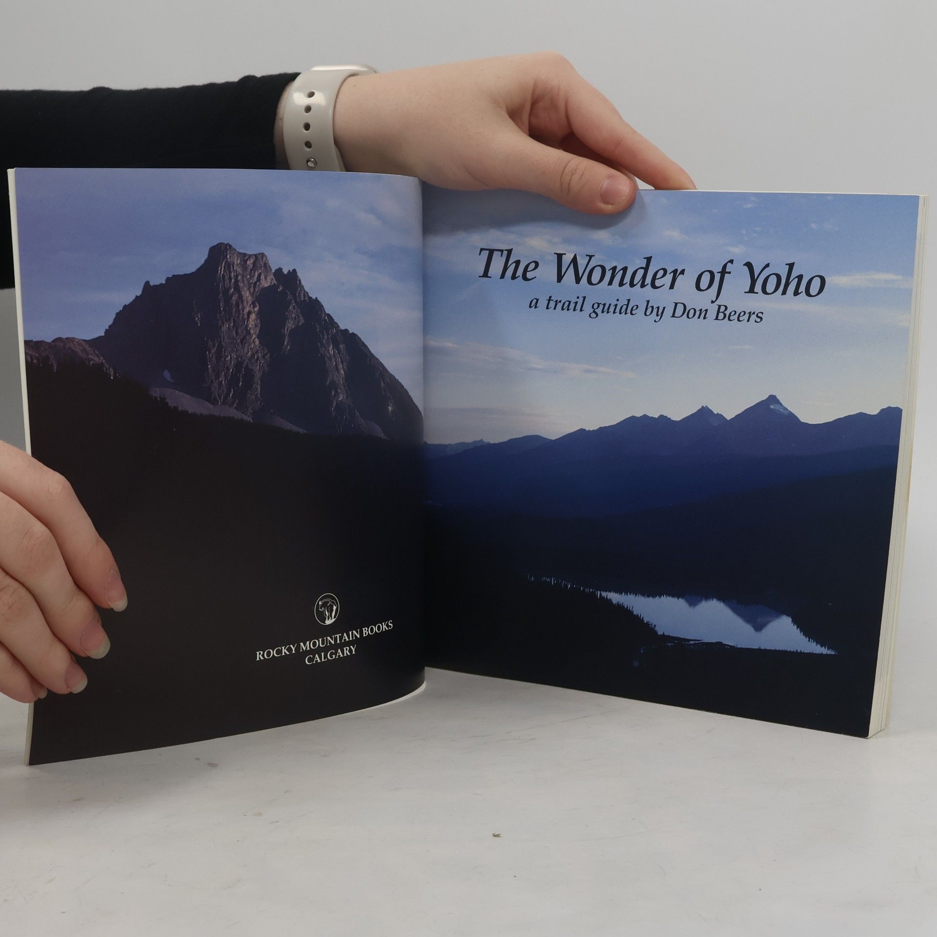 Don Beers The Wonder of Yoho