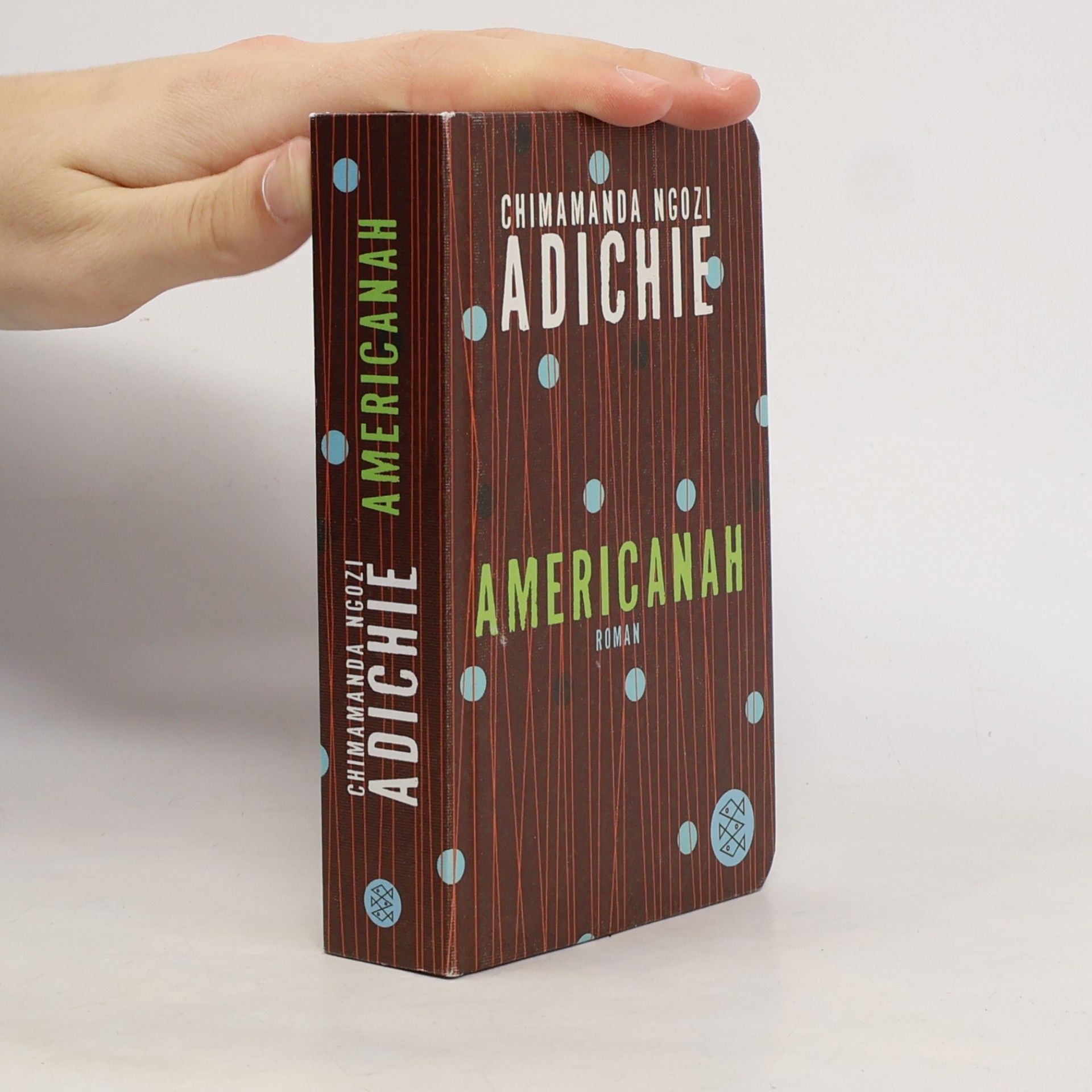 Chimamanda Ngozi Adichie Americanah