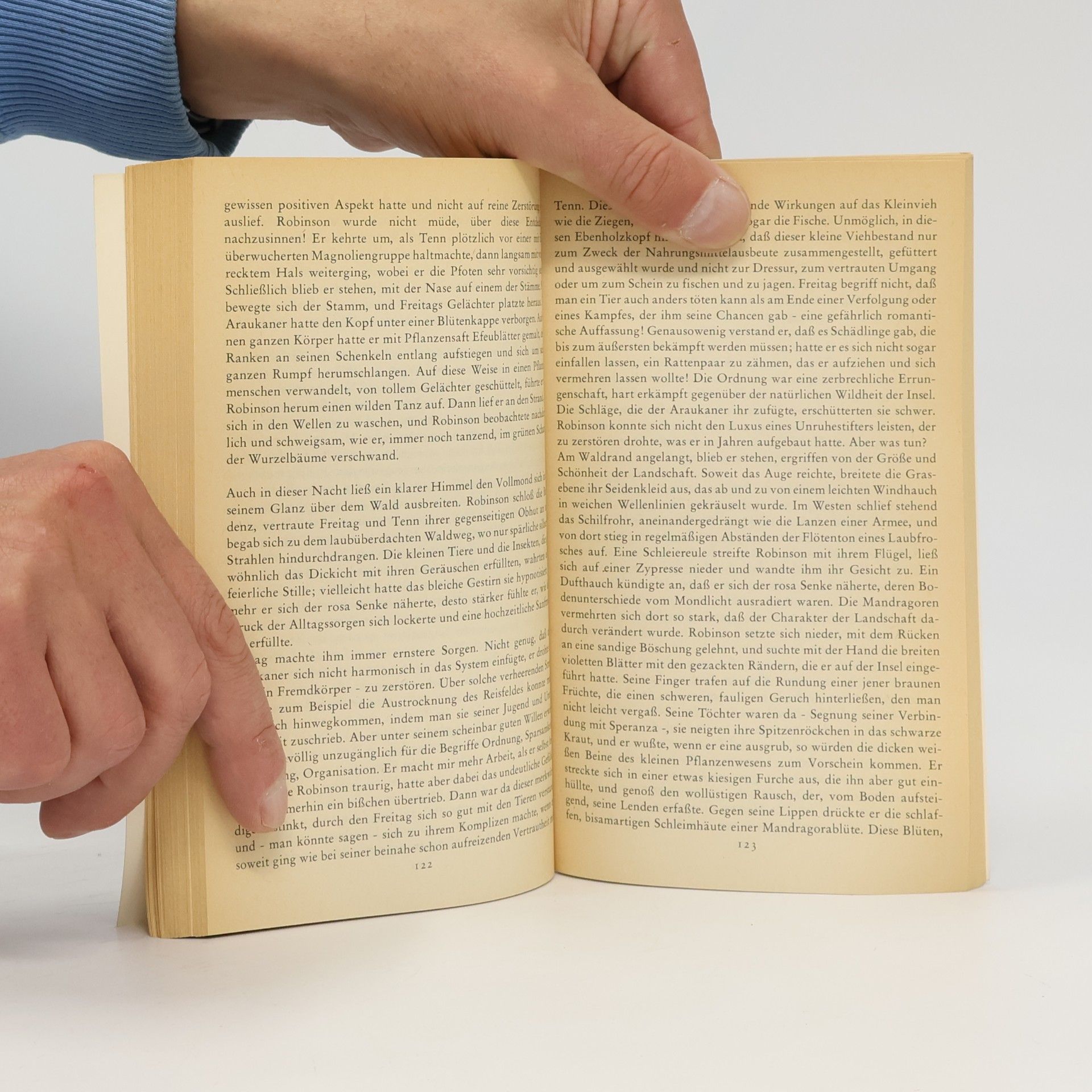 Michel Tournier Freitag oder im Schoss des Pazifik