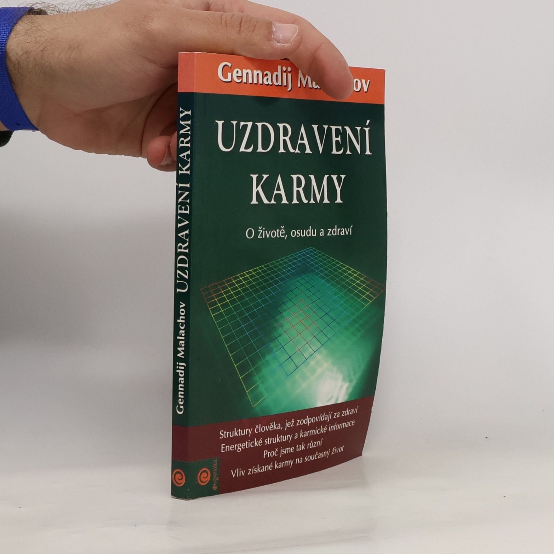 Uzdravení karmy