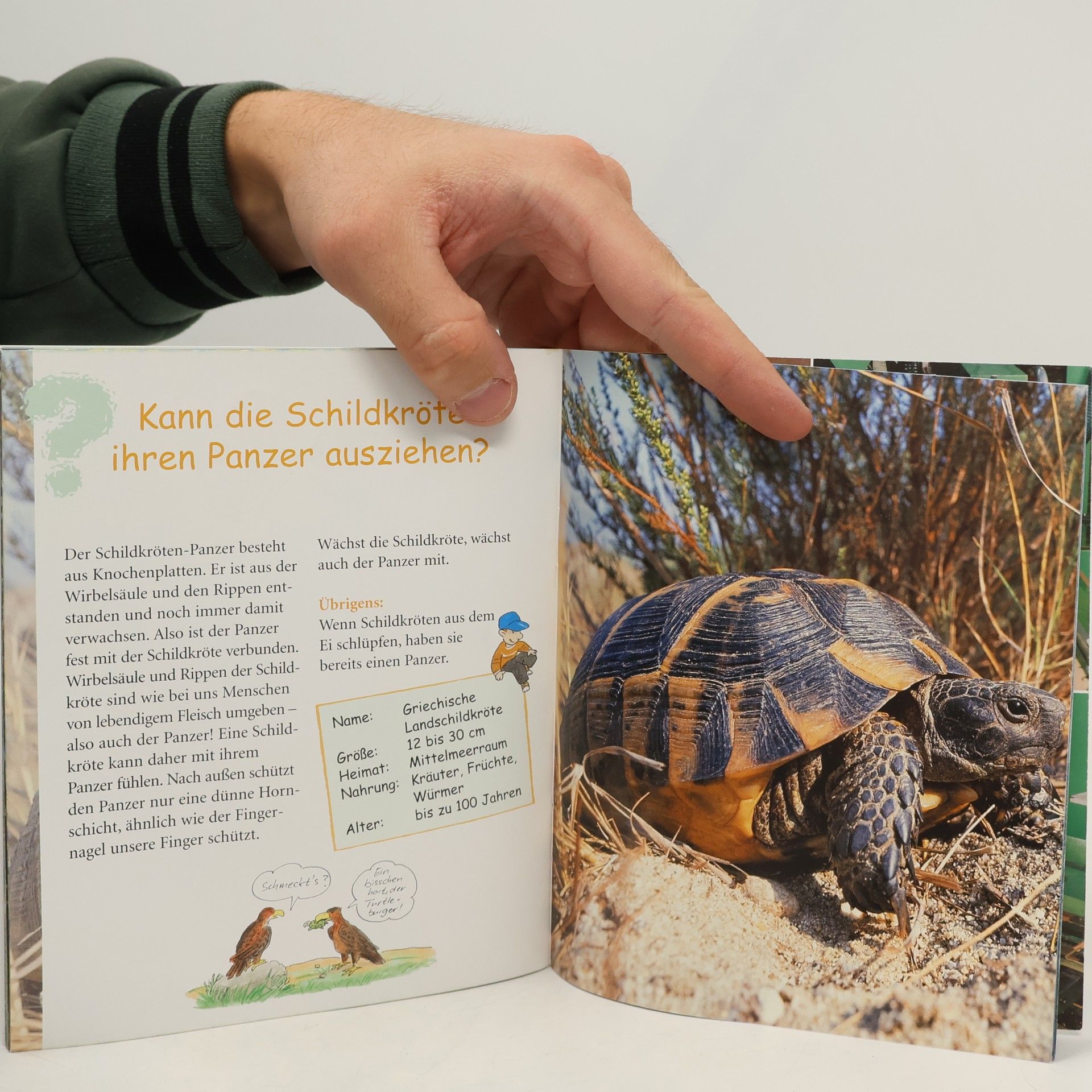 Kolektiv autorů Alles, was Kinder wissen wollen