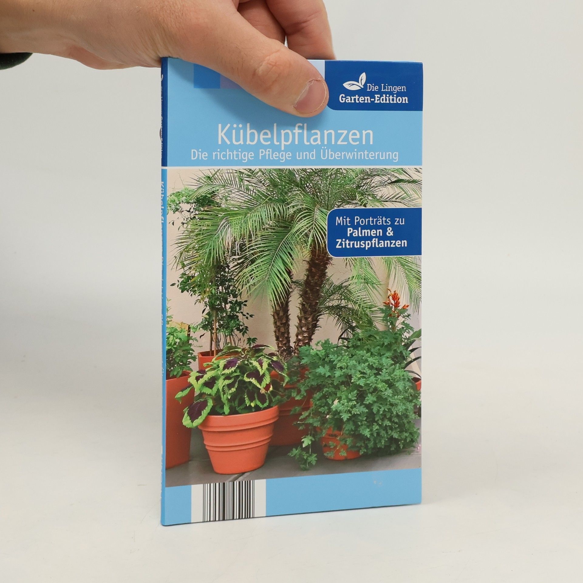 Autorenkollektiv Kübelpflanzen