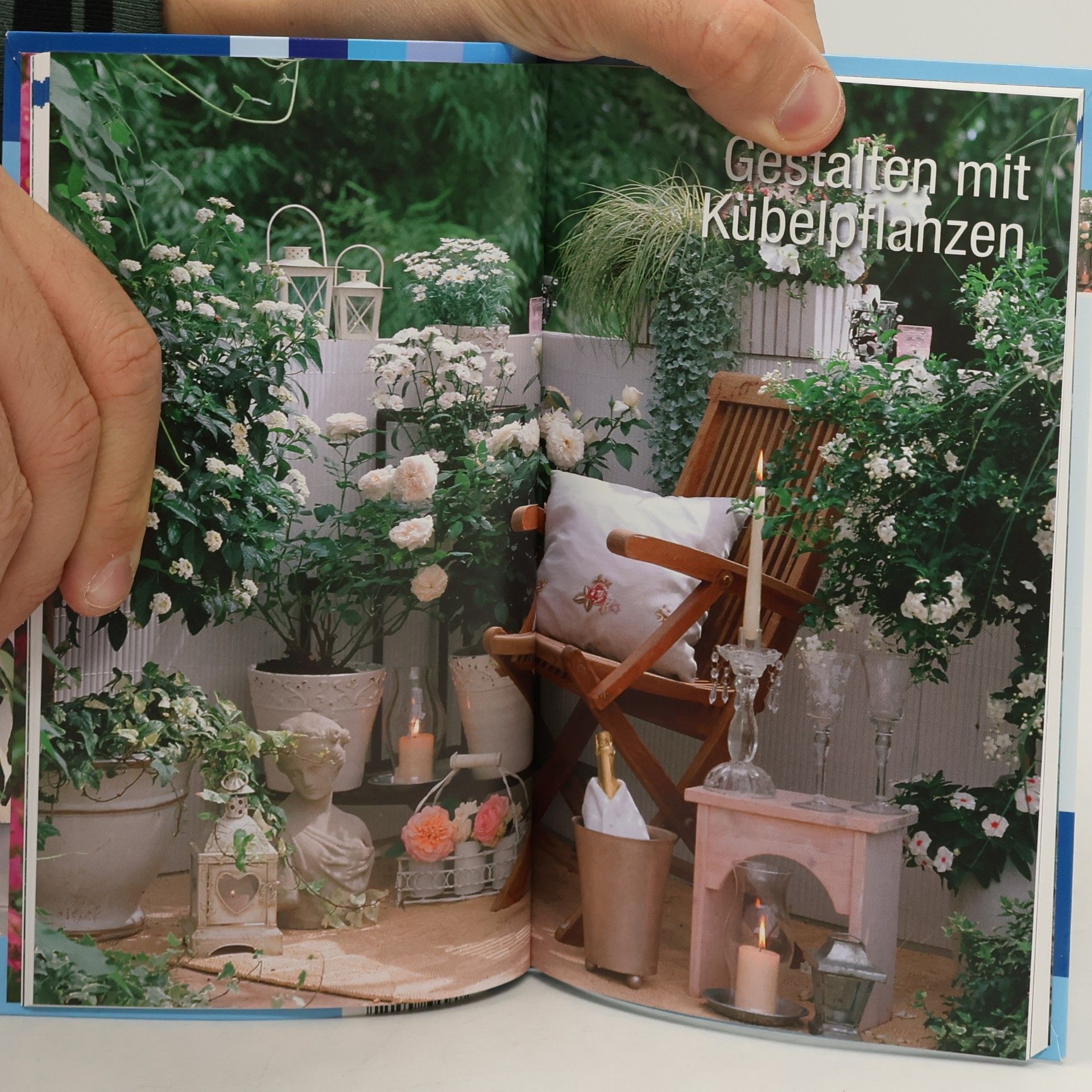 Autorenkollektiv Kübelpflanzen